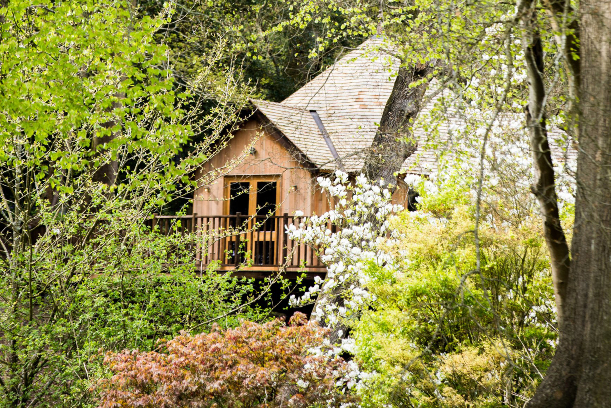 Wildhive Callow Hall by null