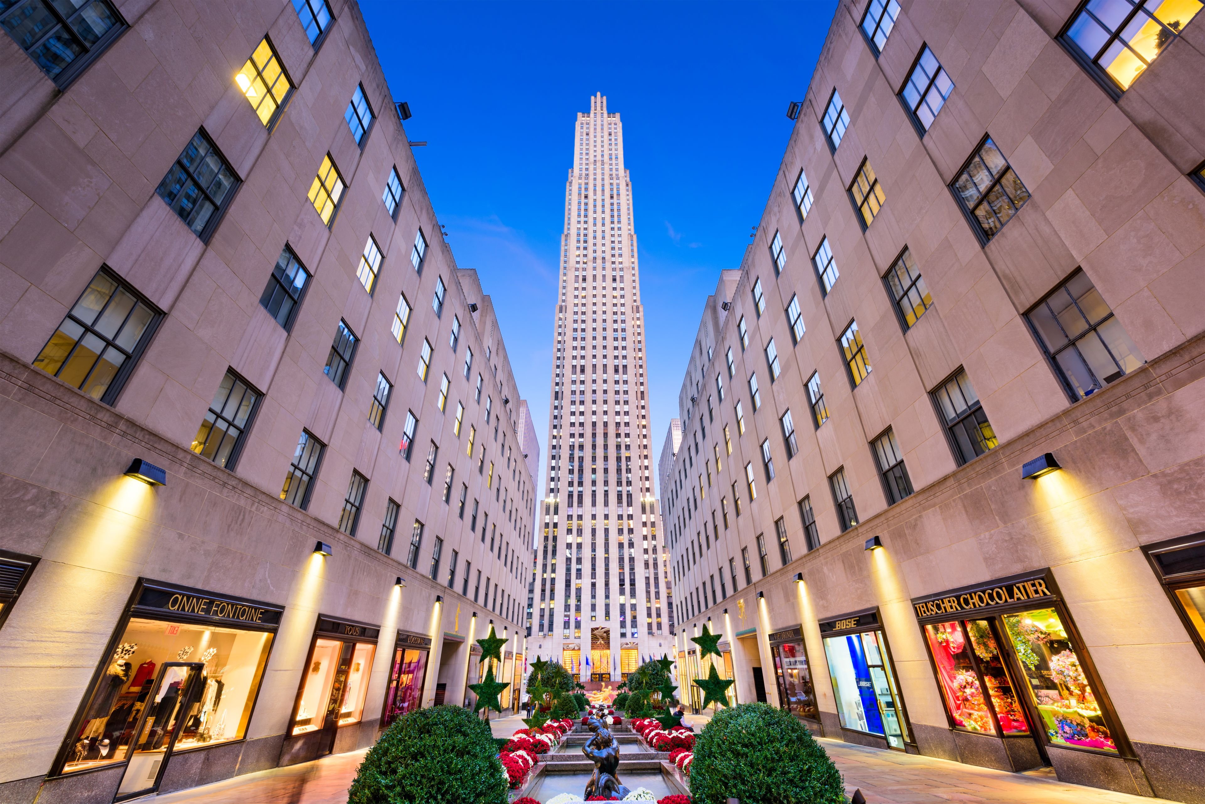The Muse New York by null