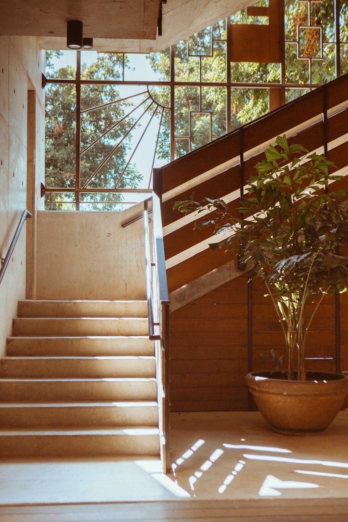 Carpenter Hotel by null