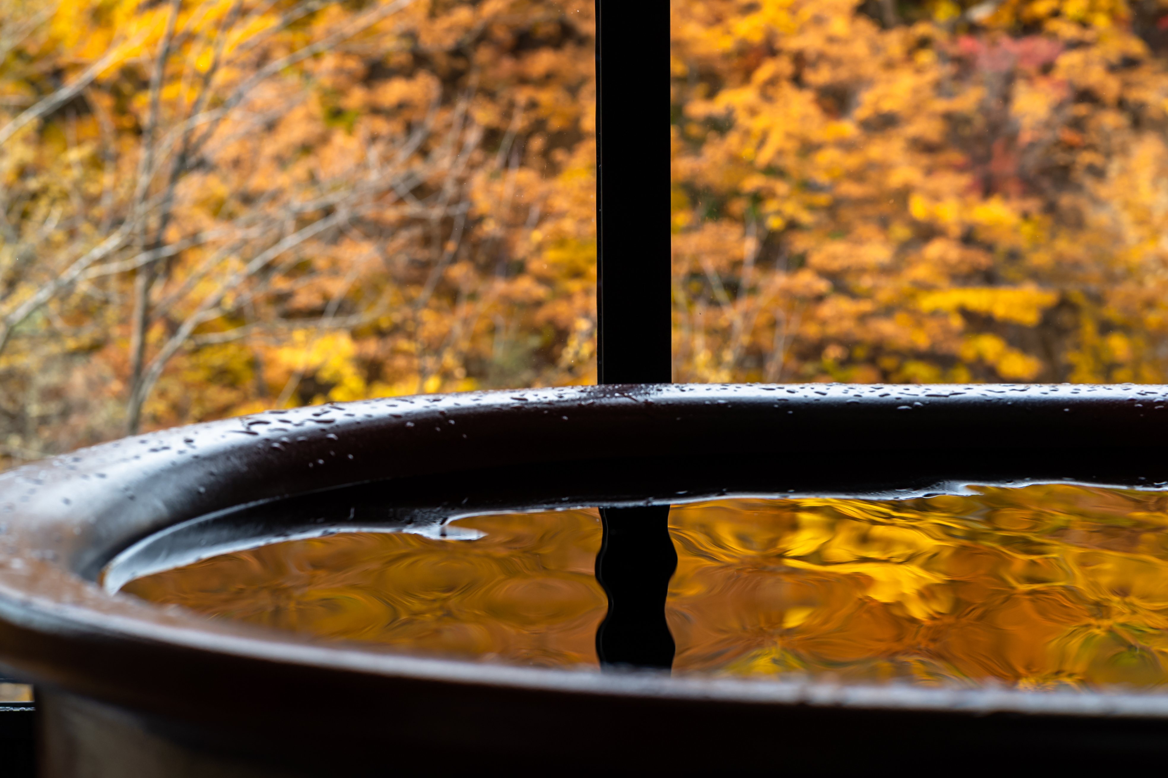 Chalet Ivy Jozankei by null