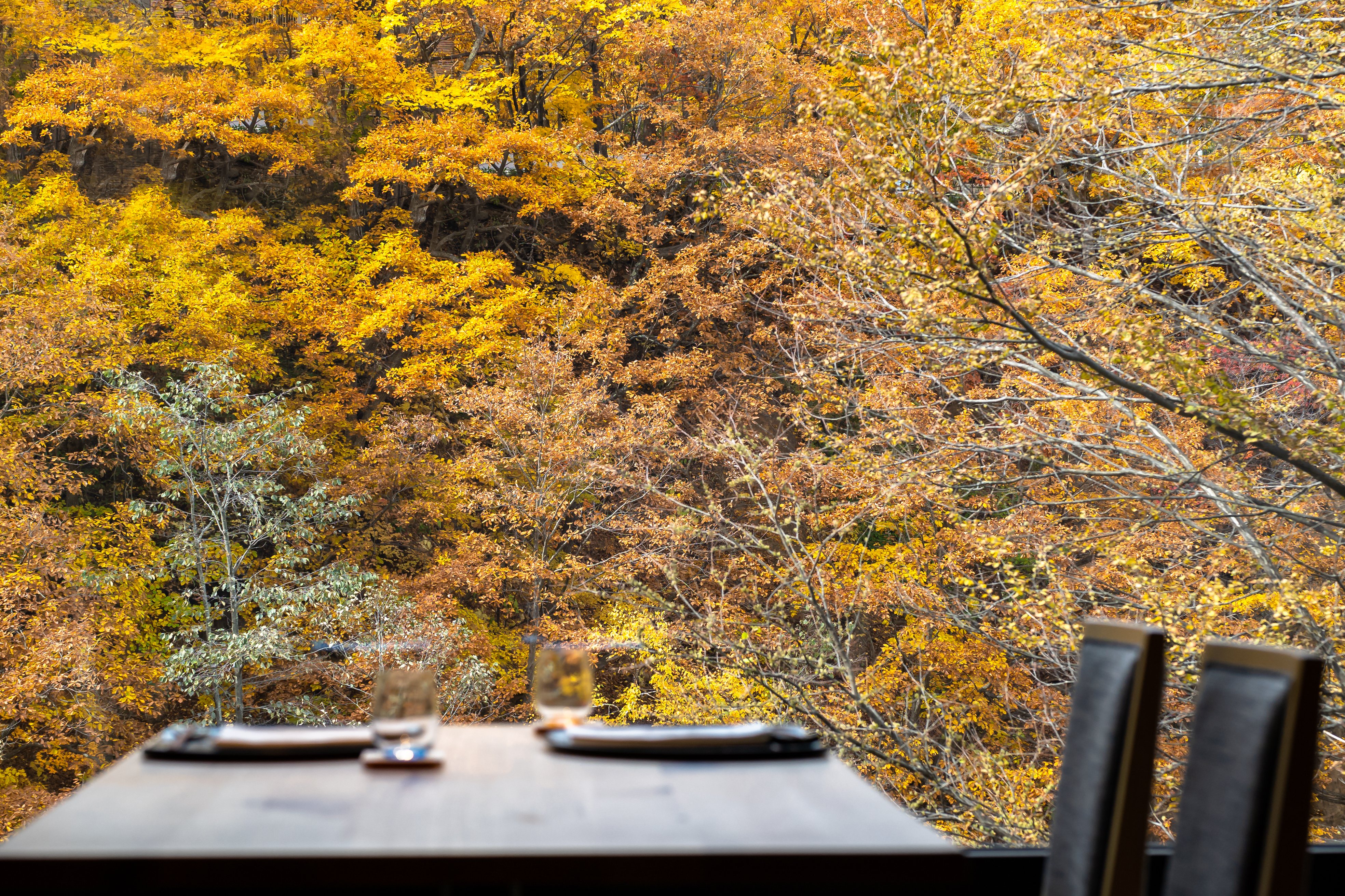 Chalet Ivy Jozankei by null