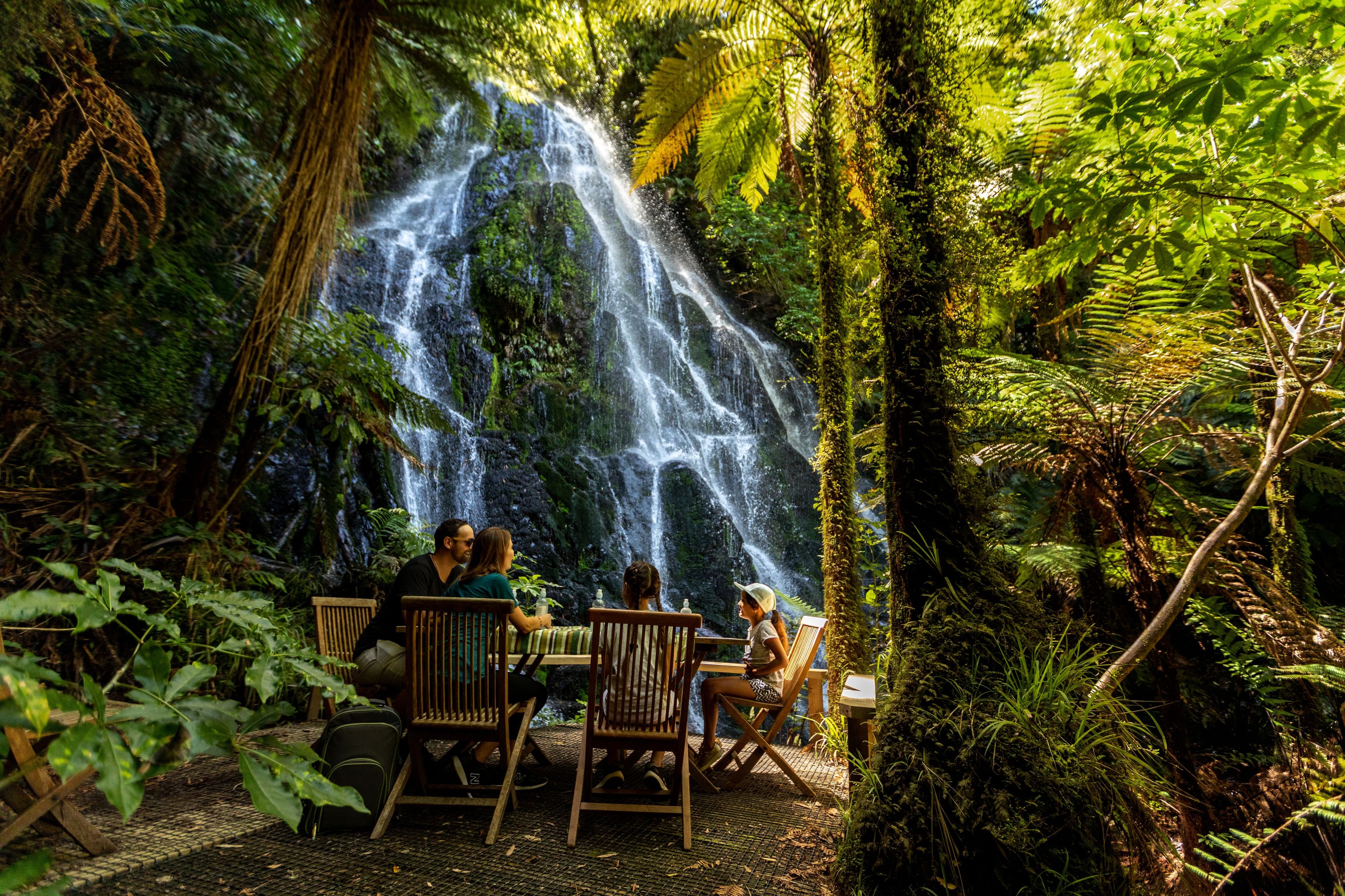 Treetops Lodge & Estate - by null