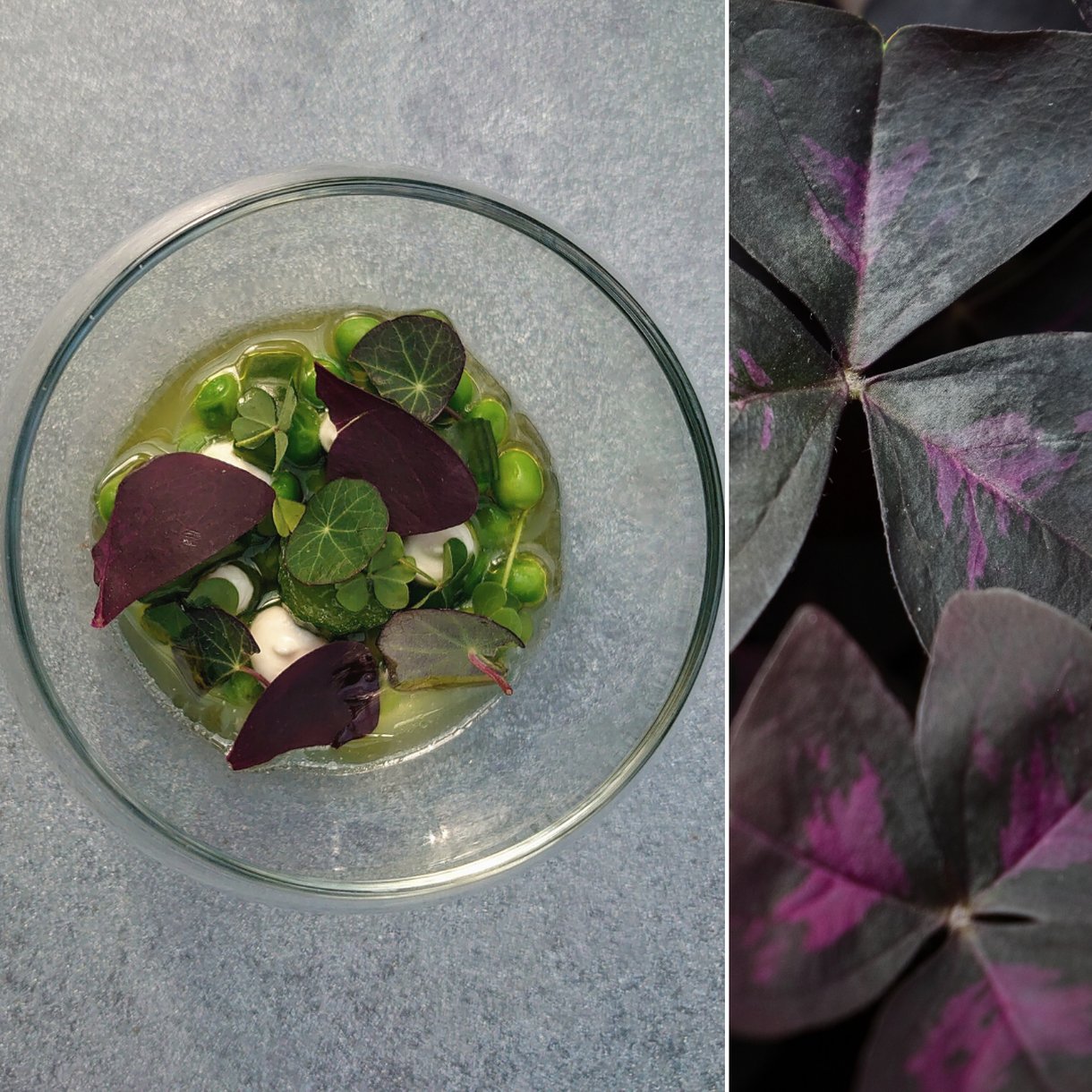 Op Oost - Boutique Hotel & Restaurant het Kook Atelier by null