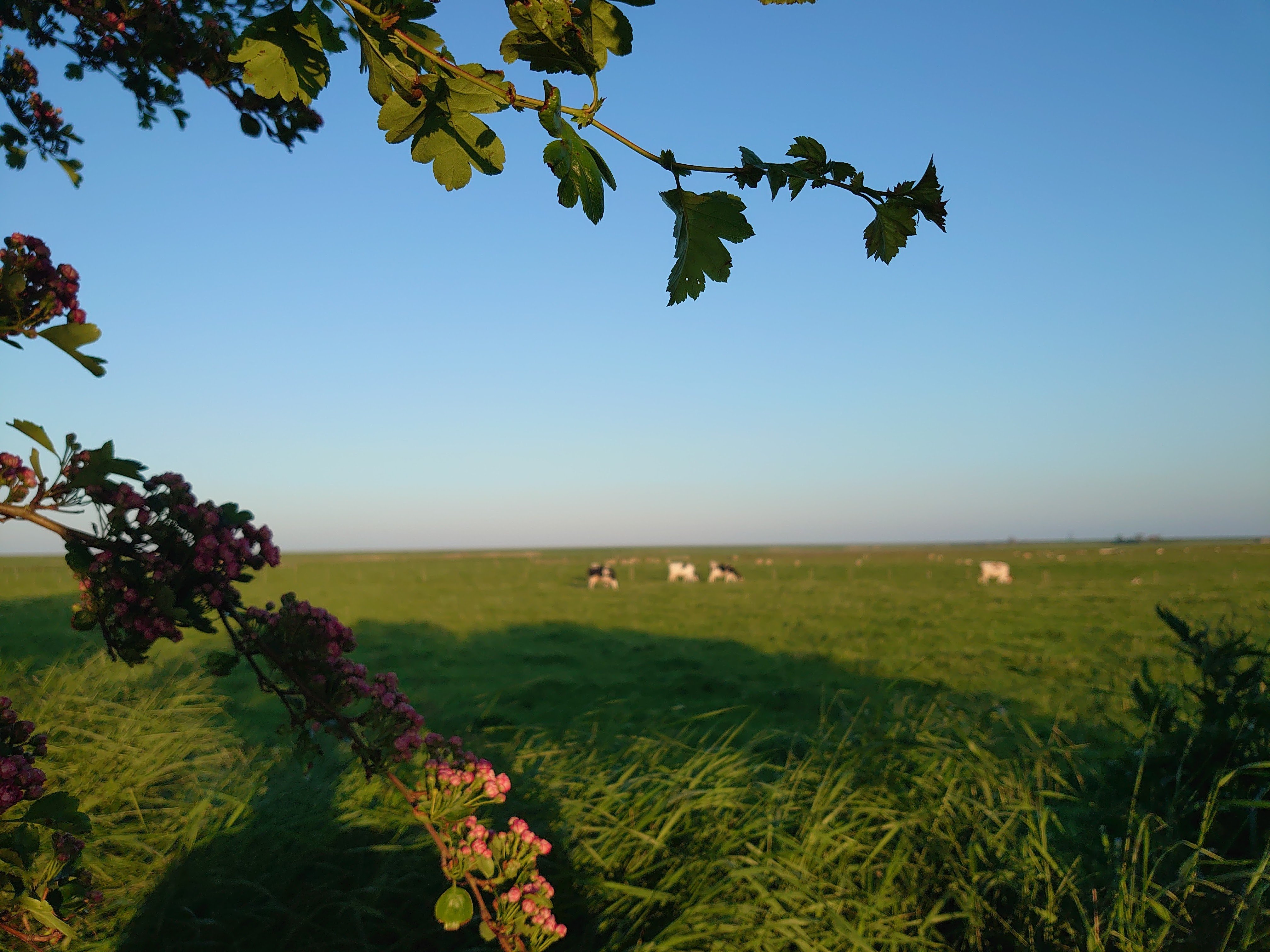 Op Oost - Boutique Hotel & Restaurant het Kook Atelier by null