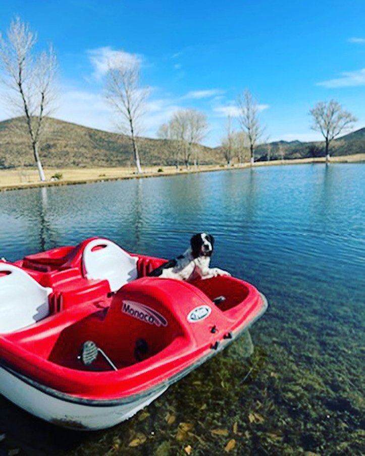 Cibolo Creek Ranch by null