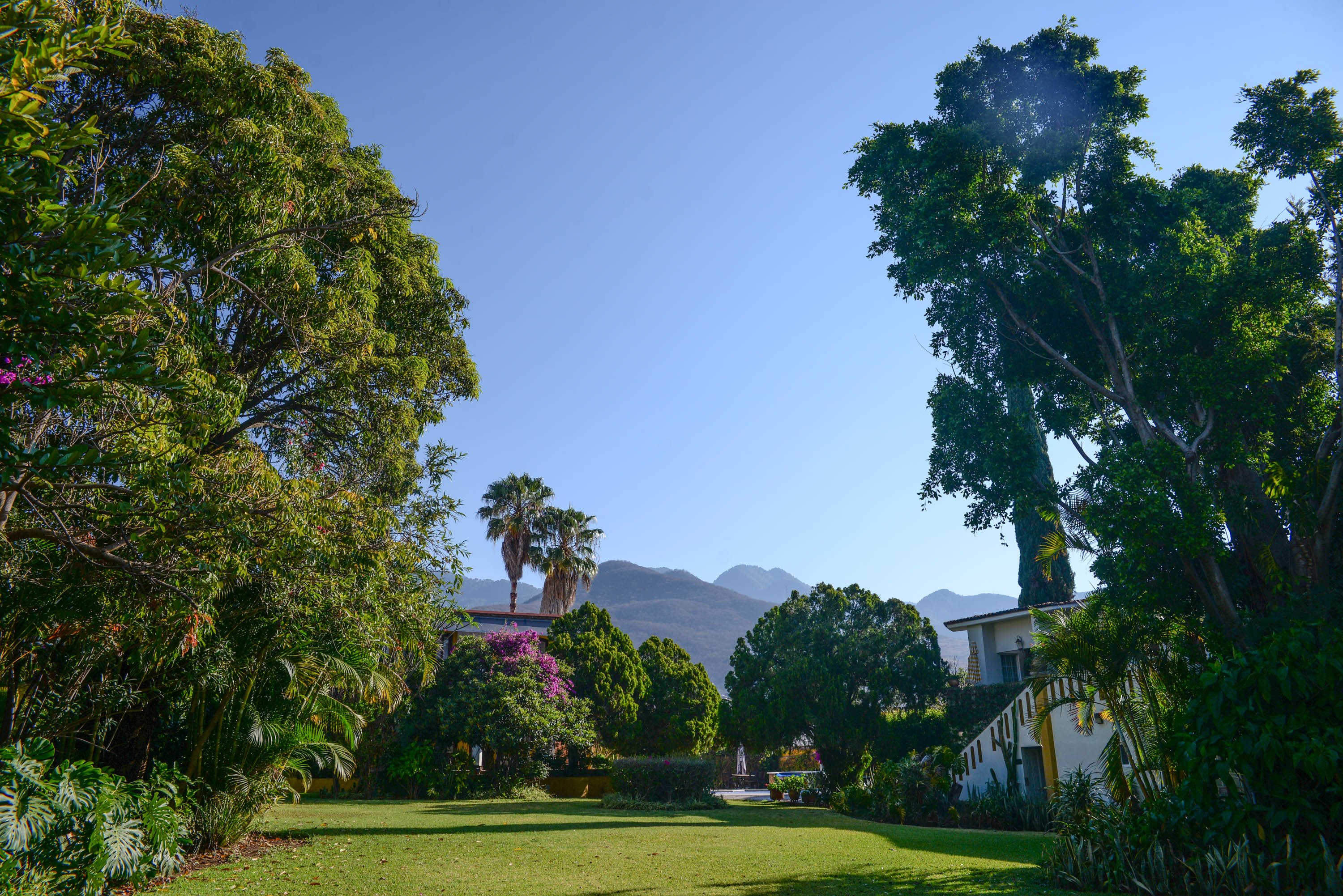 Hotel Hacienda Los Laureles Spa by null