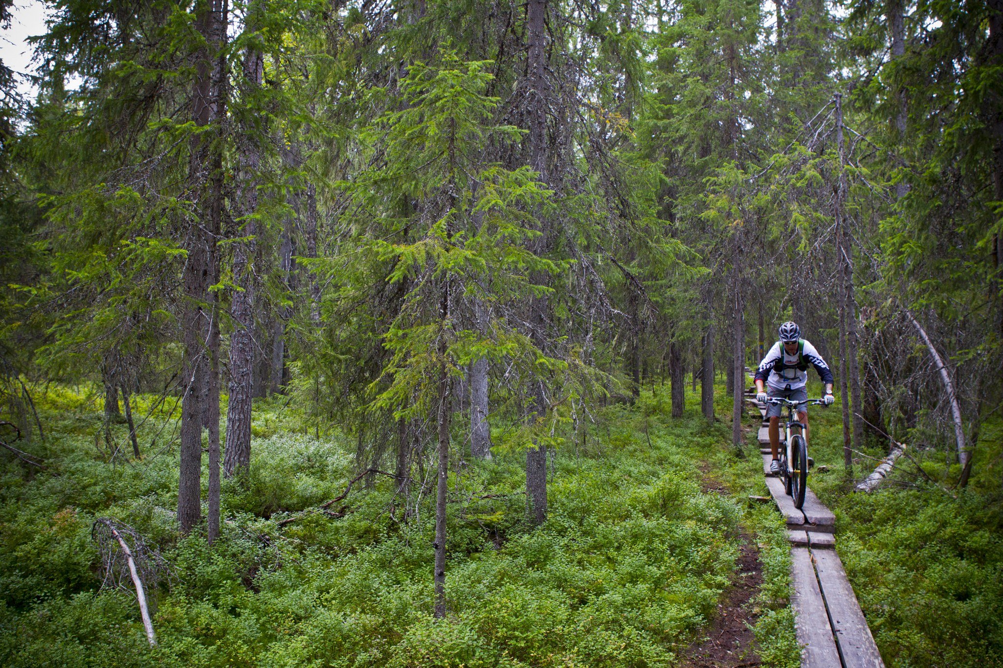 Kakslauttanen Arctic Resort East Village by null