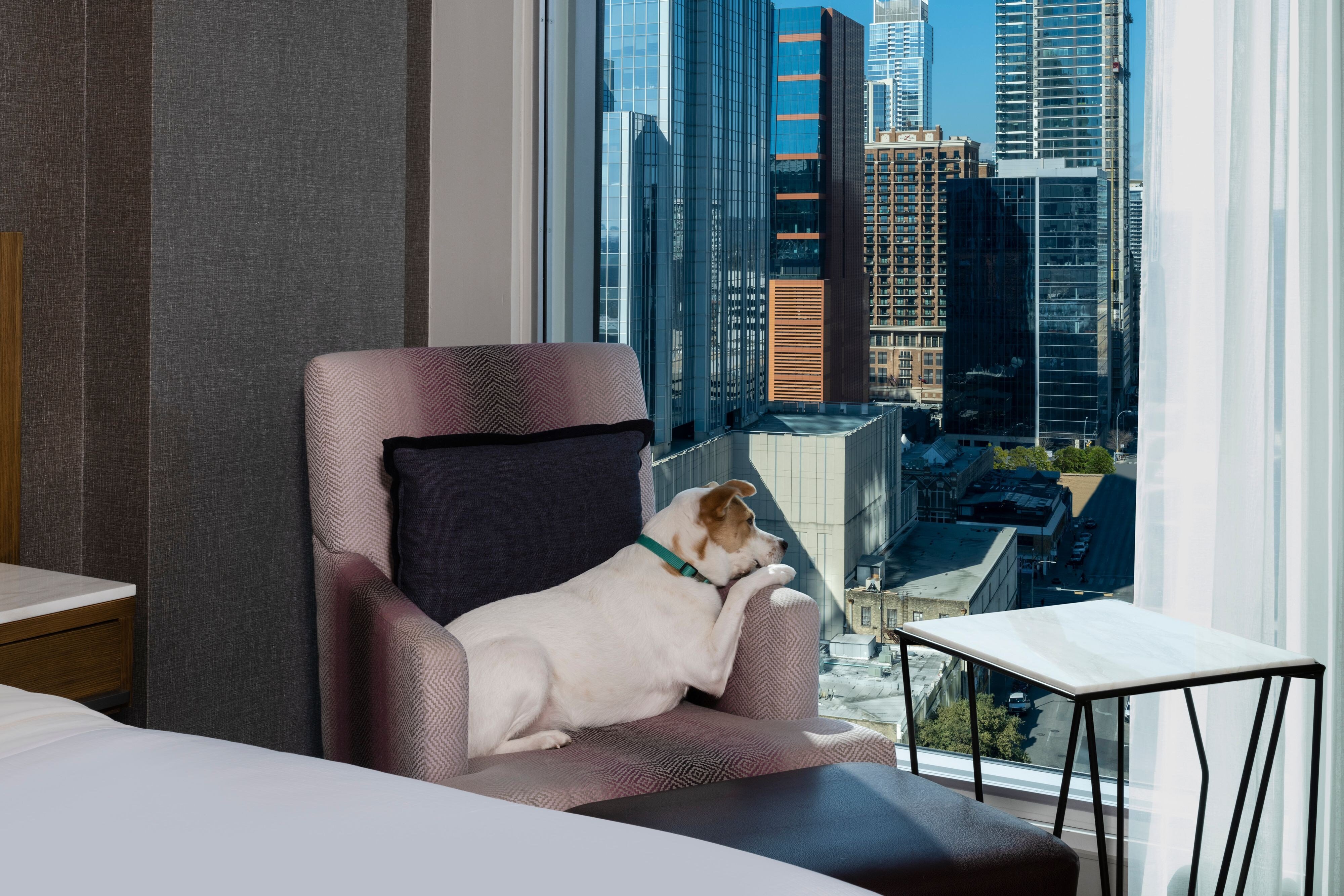The Westin Austin Downtown by null