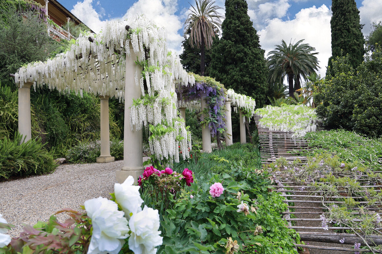 Villa della Pergola by null