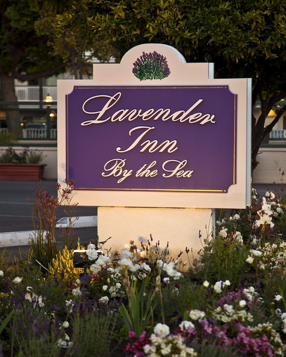Lavender Inn by the Sea by null