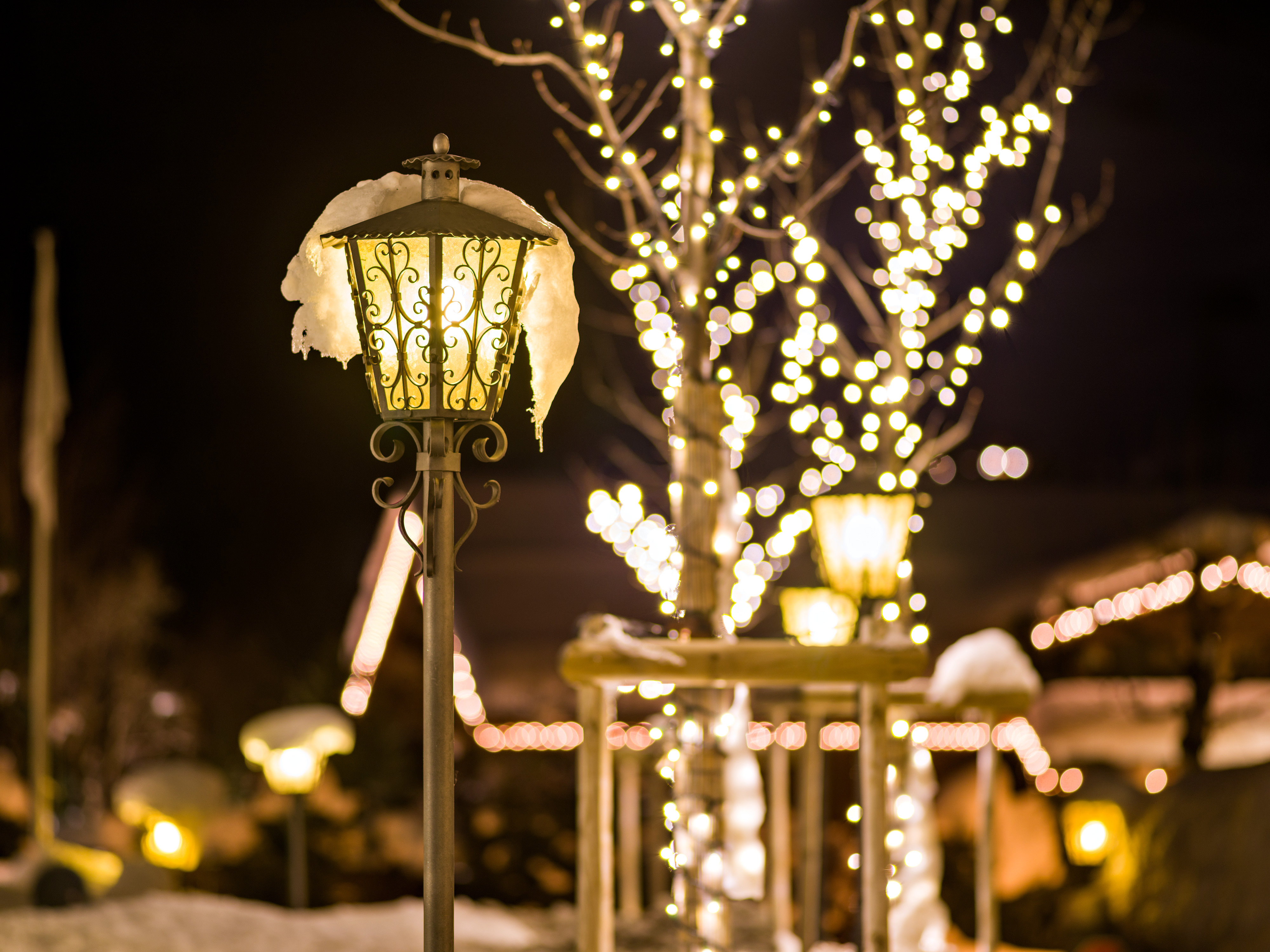 Park Gstaad by null