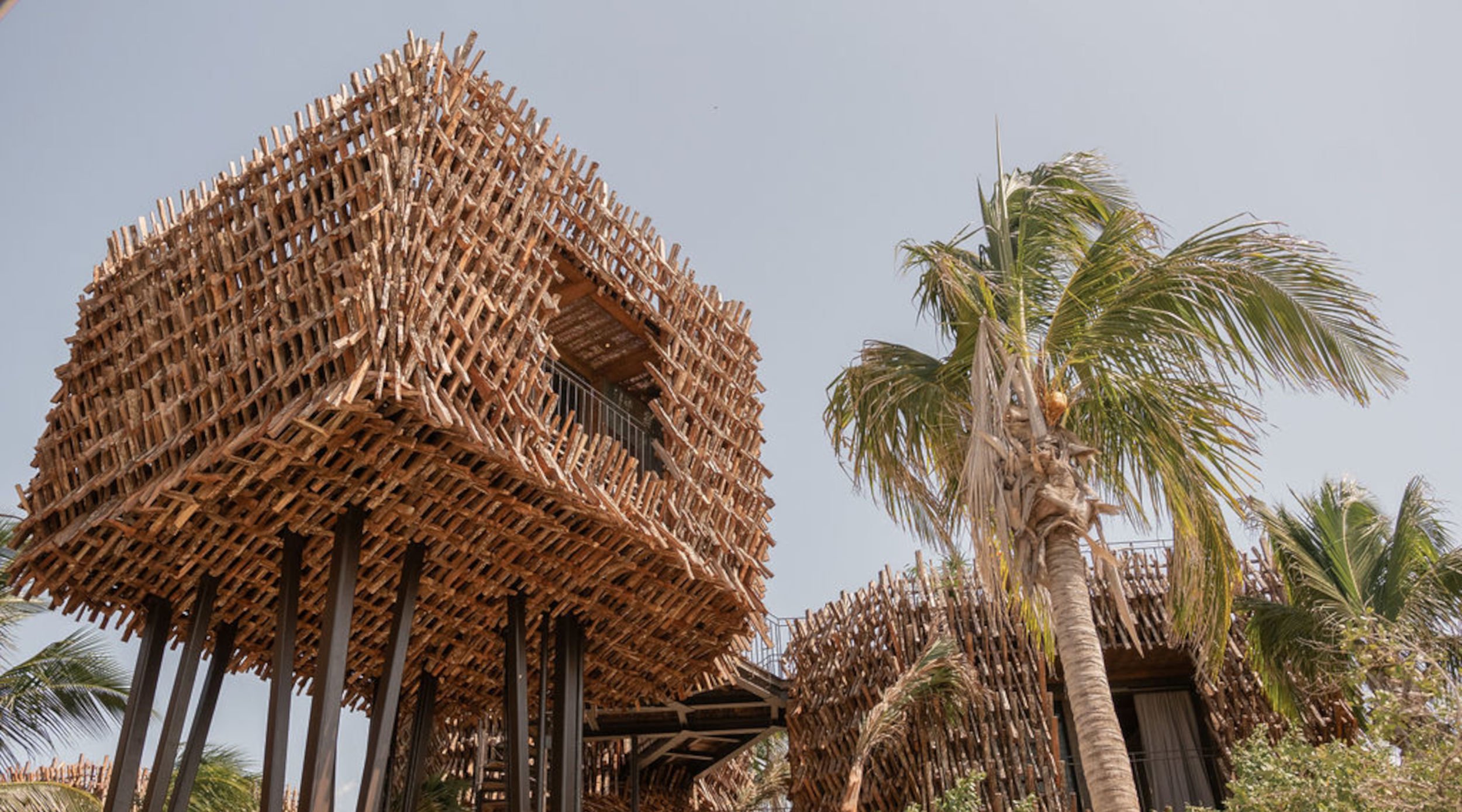 Nomade Holbox by null