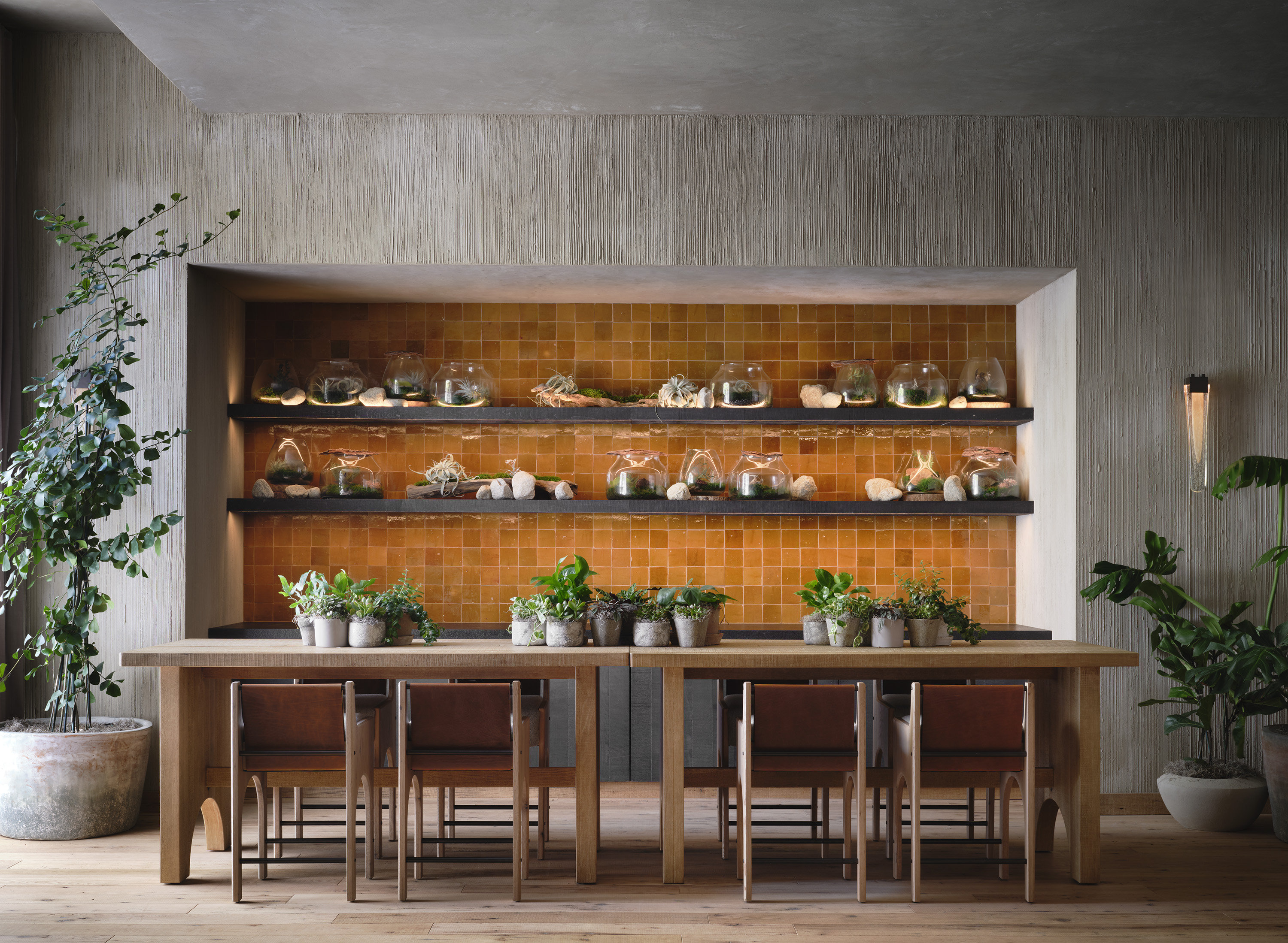 1 Hotel San Francisco by null