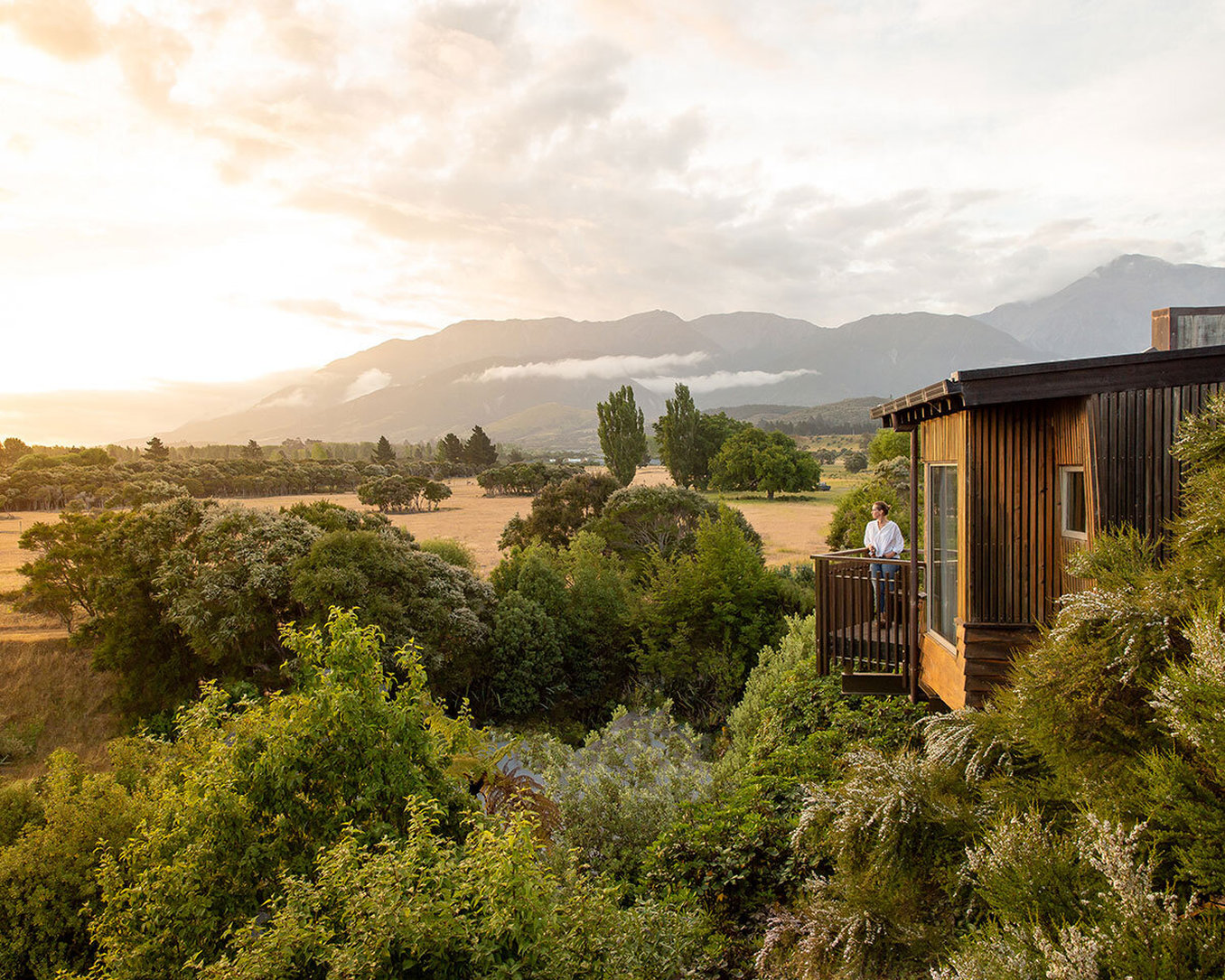 Hapuku Lodge + Tree Houses by null