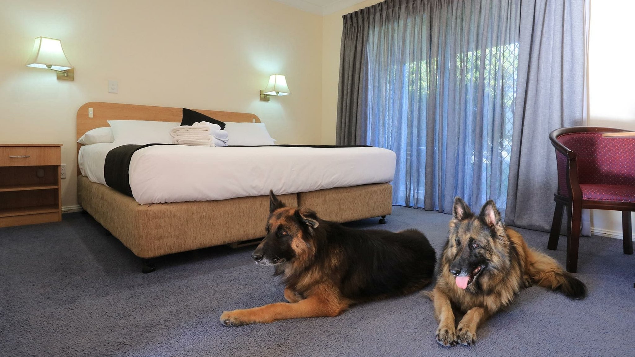 Comfort Inn Bushmans by null