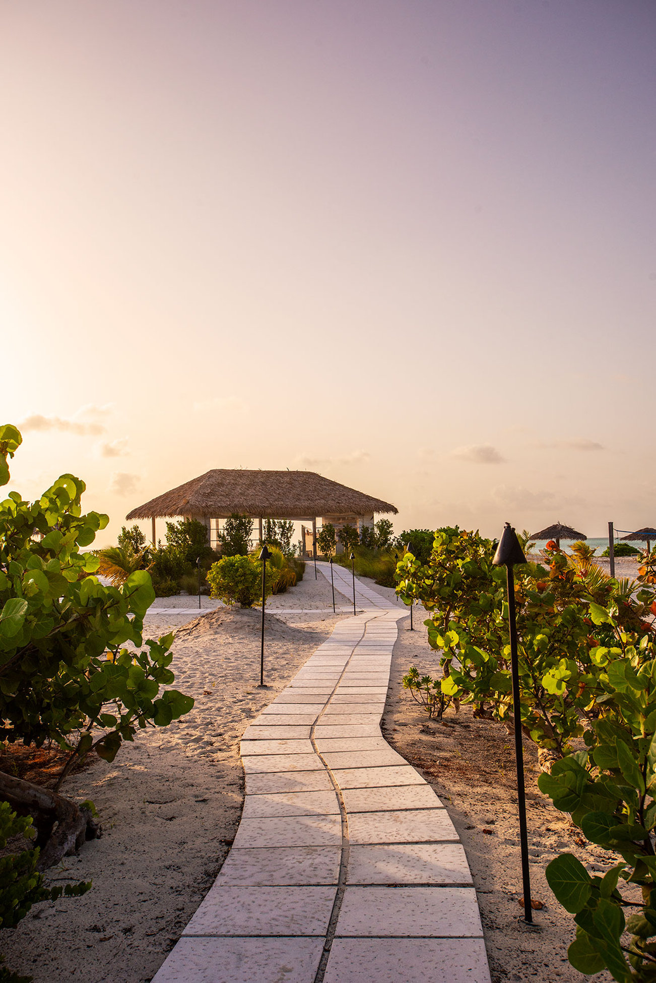 Pine Cay, Turks and Caicos by null