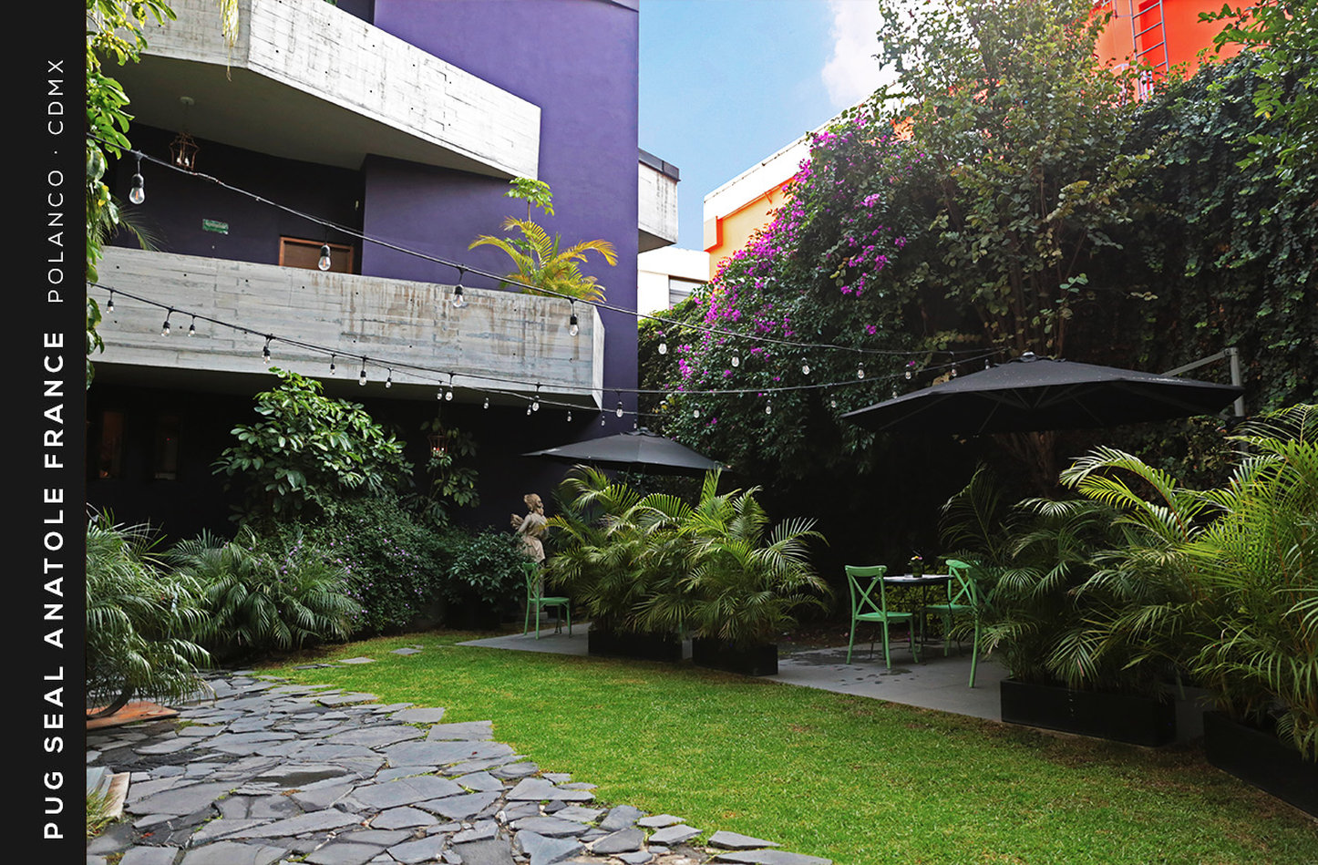 HOTEL PUG SEAL POLANCO ANATOLE FRANCE by null