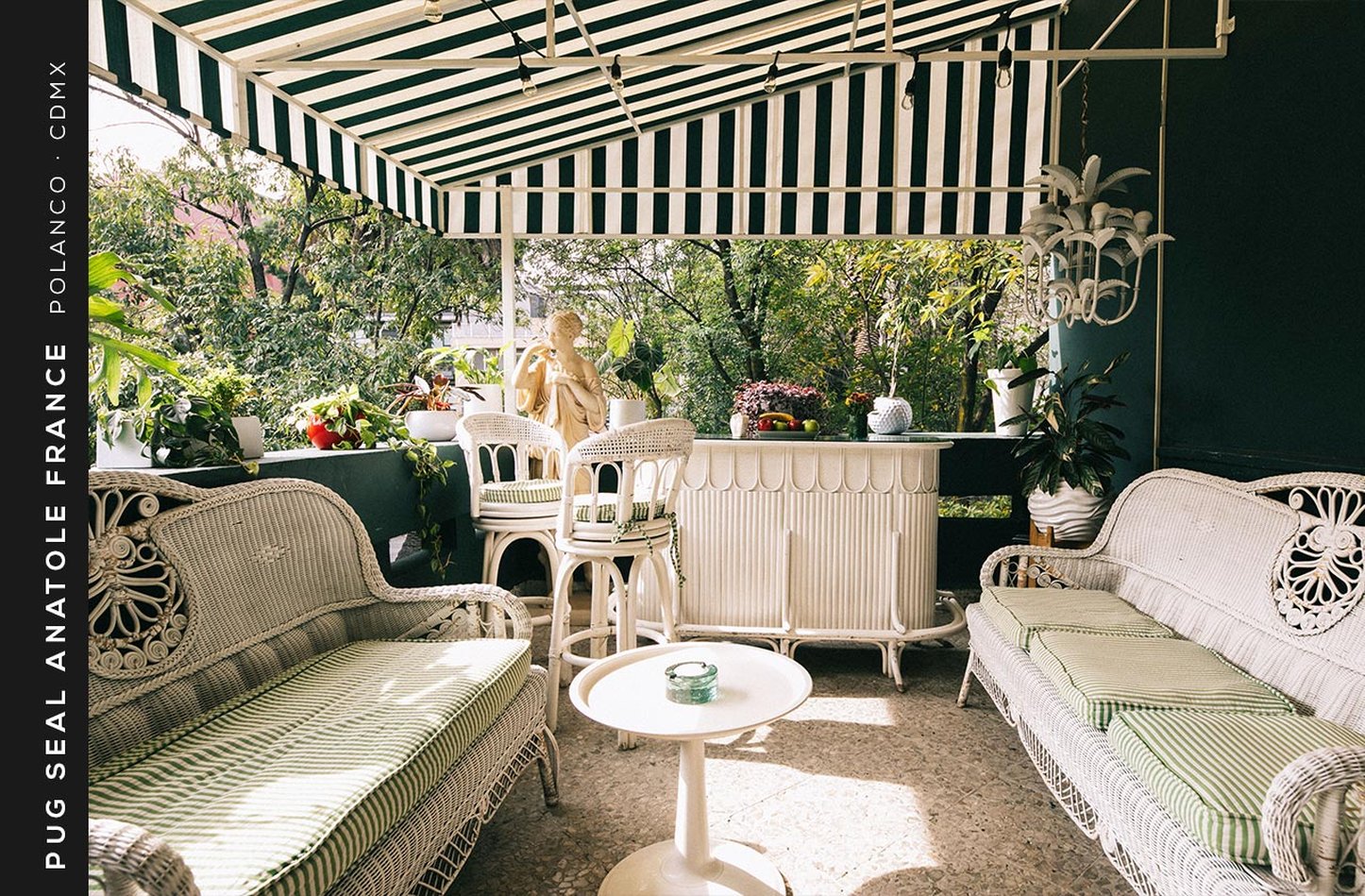 HOTEL PUG SEAL POLANCO ANATOLE FRANCE by null