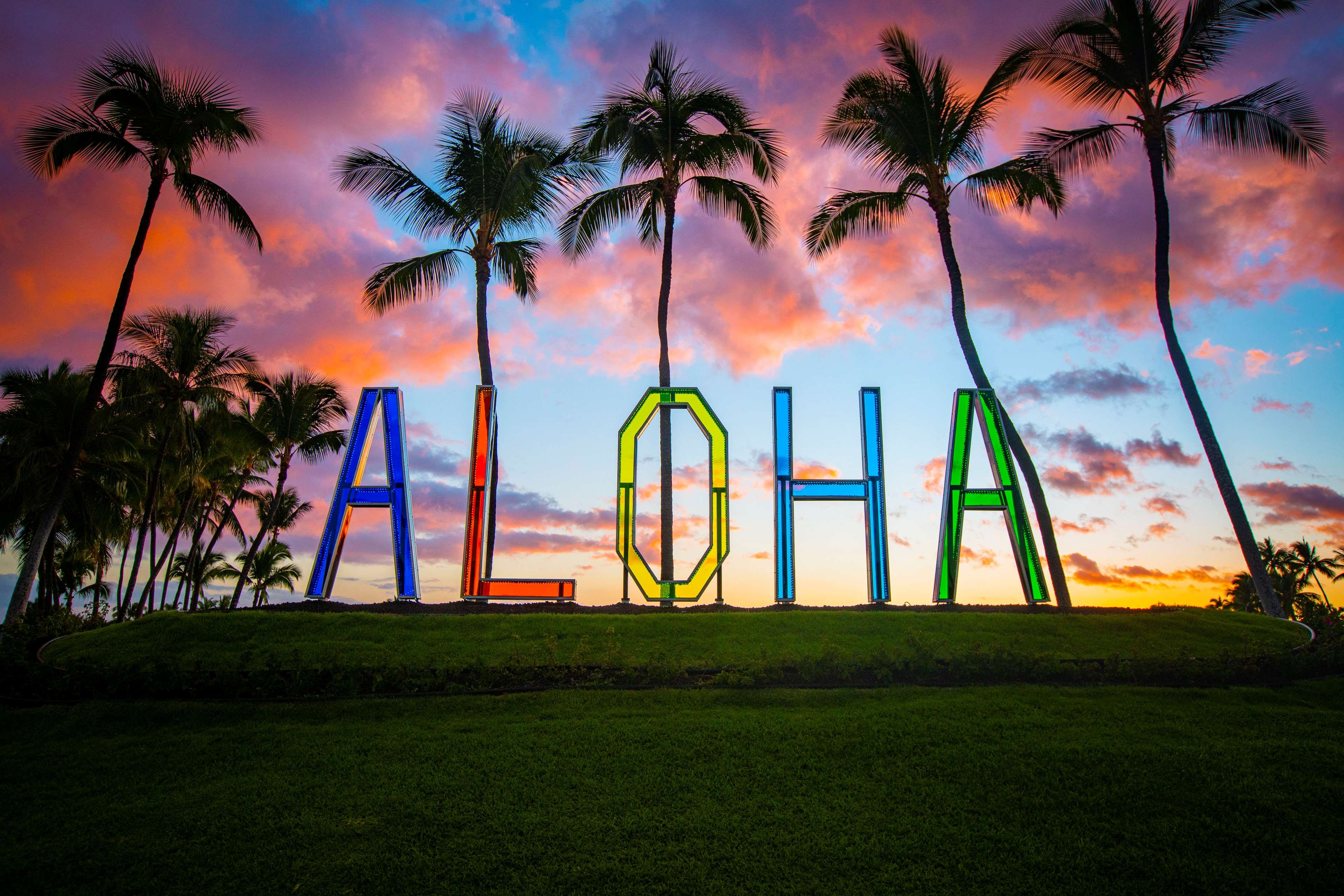 Hilton Waikoloa Village by null