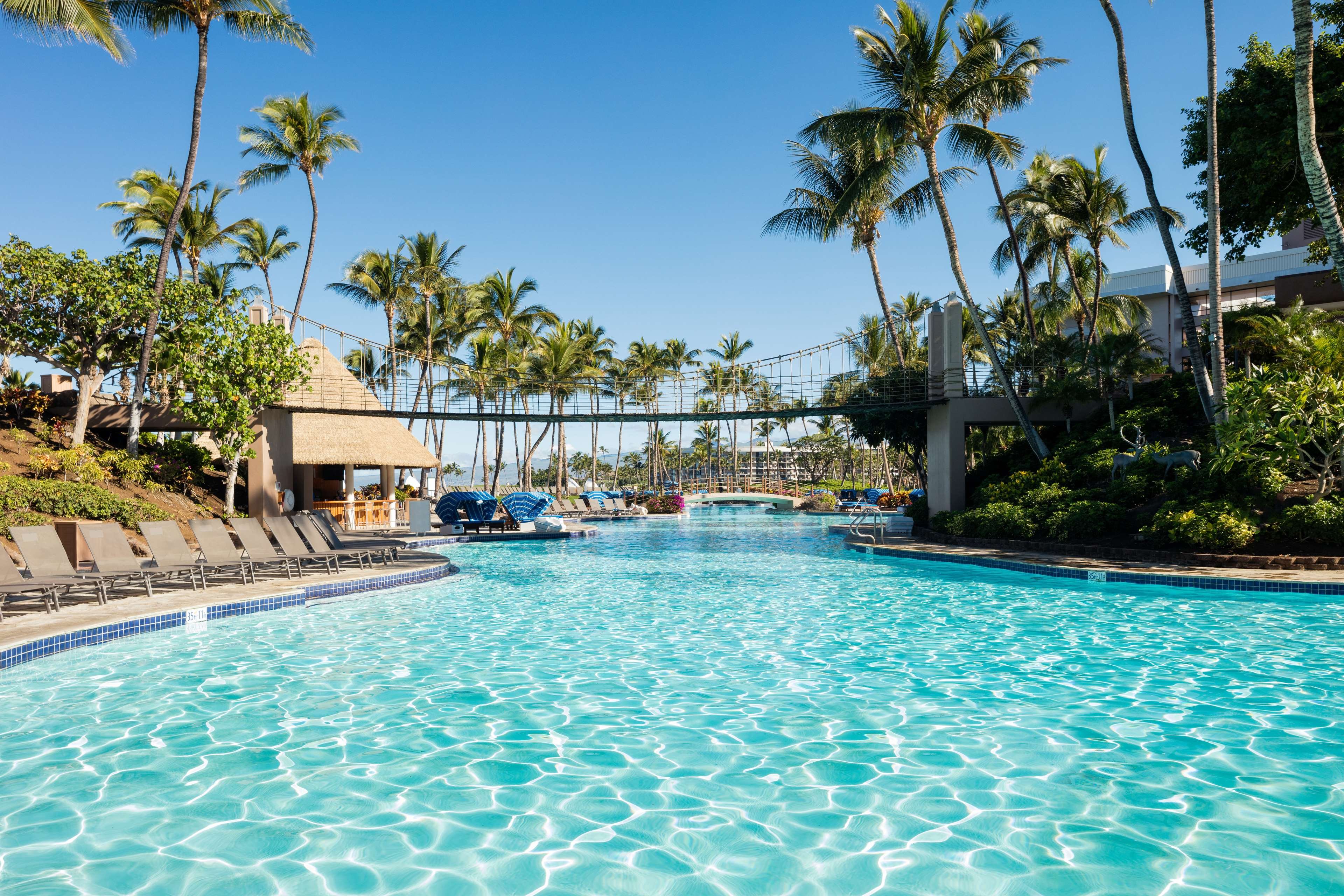 Hilton Waikoloa Village by null
