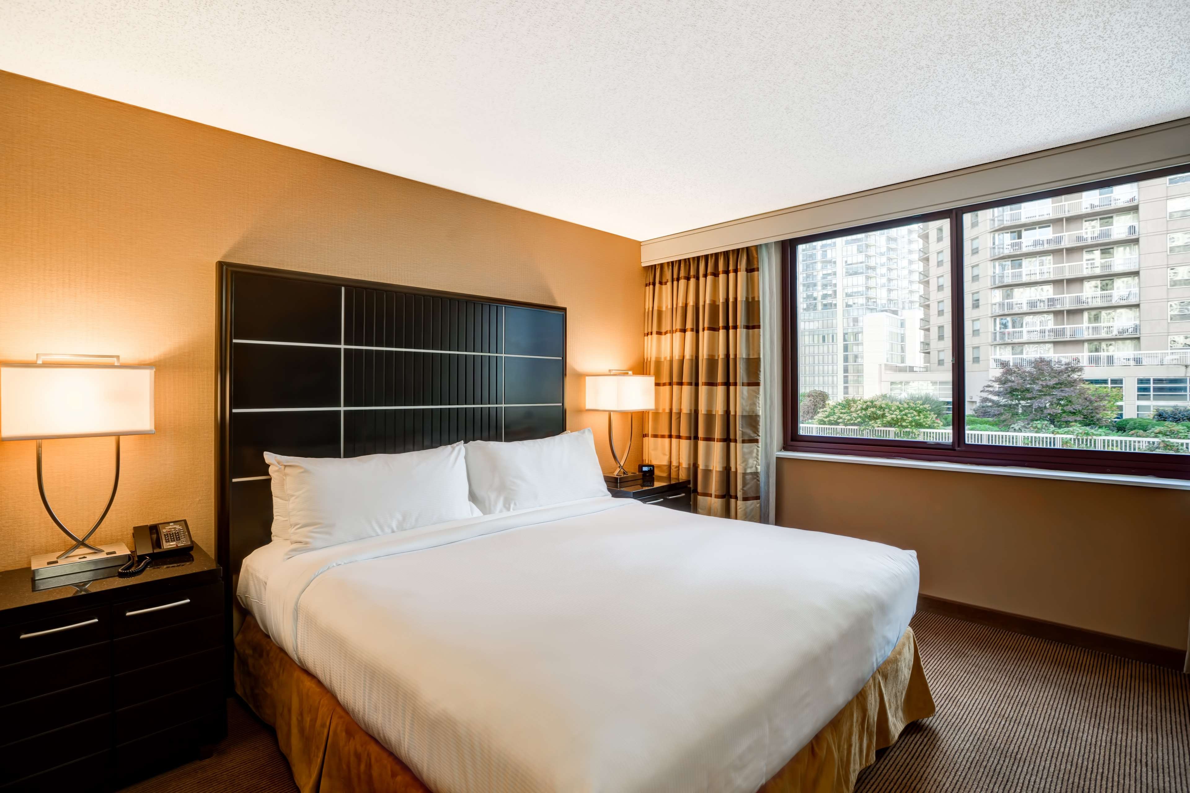 Embassy Suites by Hilton Chicago Downtown River North by null