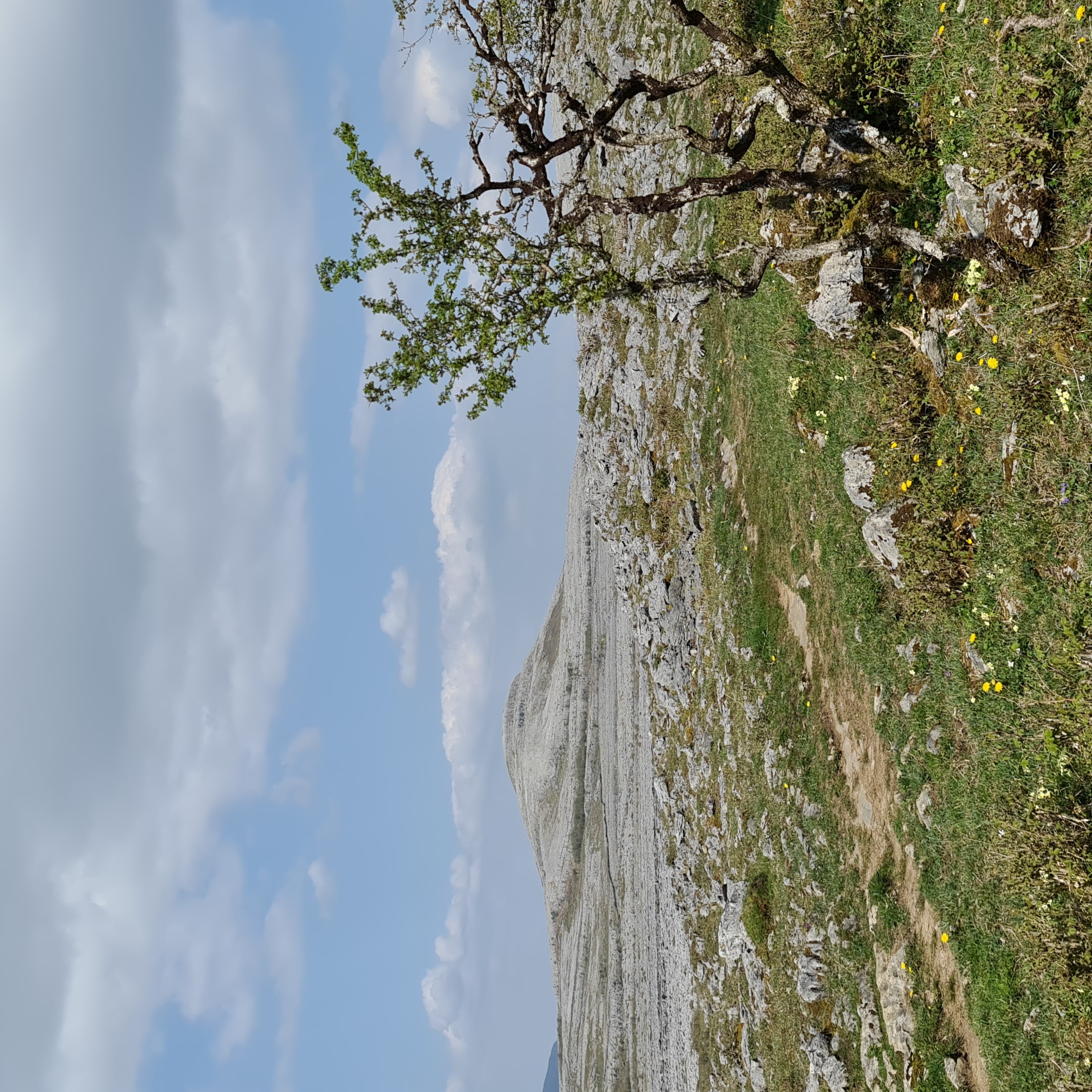 Gregans Castle Hotel in the Burren by null
