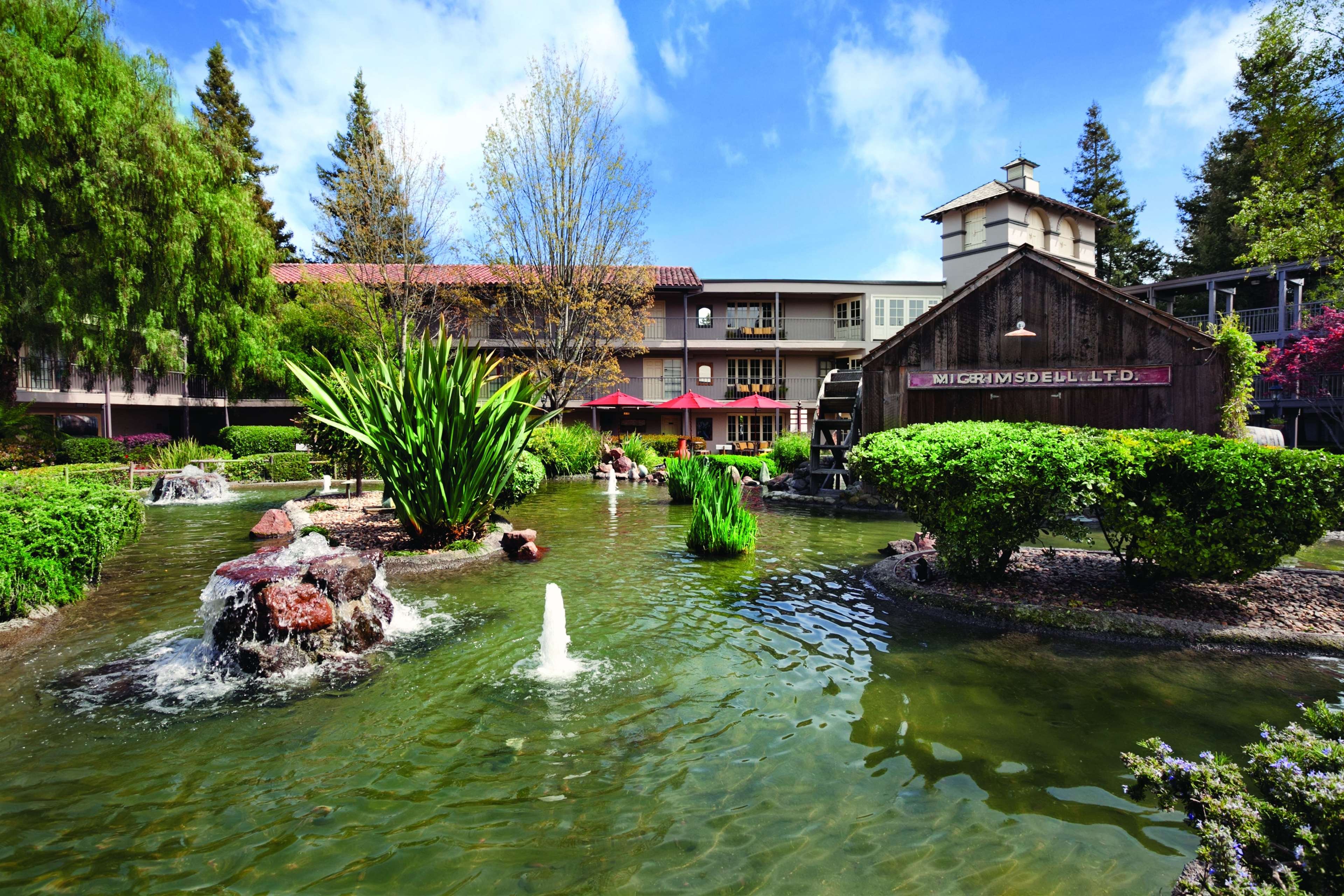 Embassy Suites by Hilton Napa Valley image