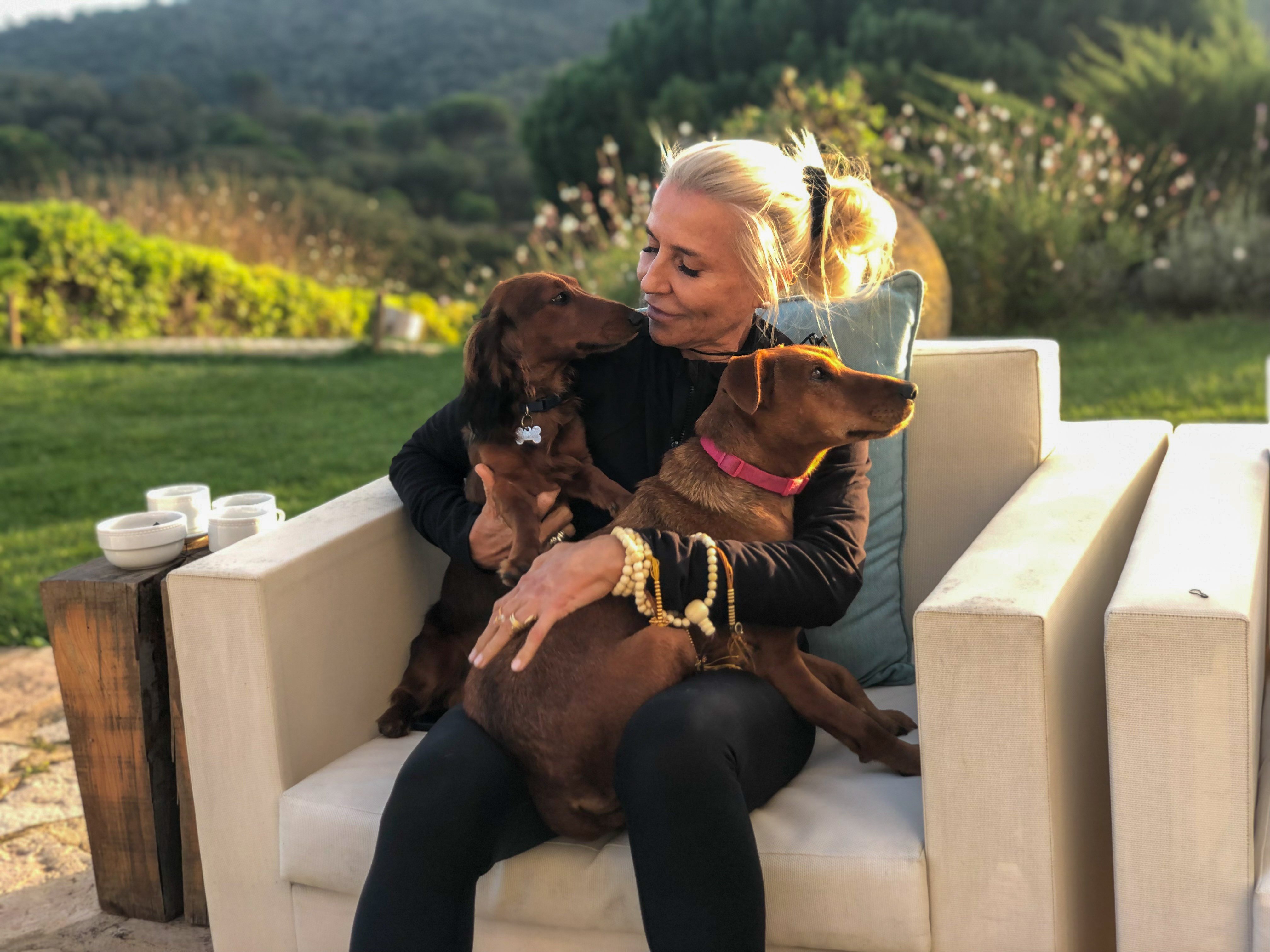 Hotel Casa Palmela by null