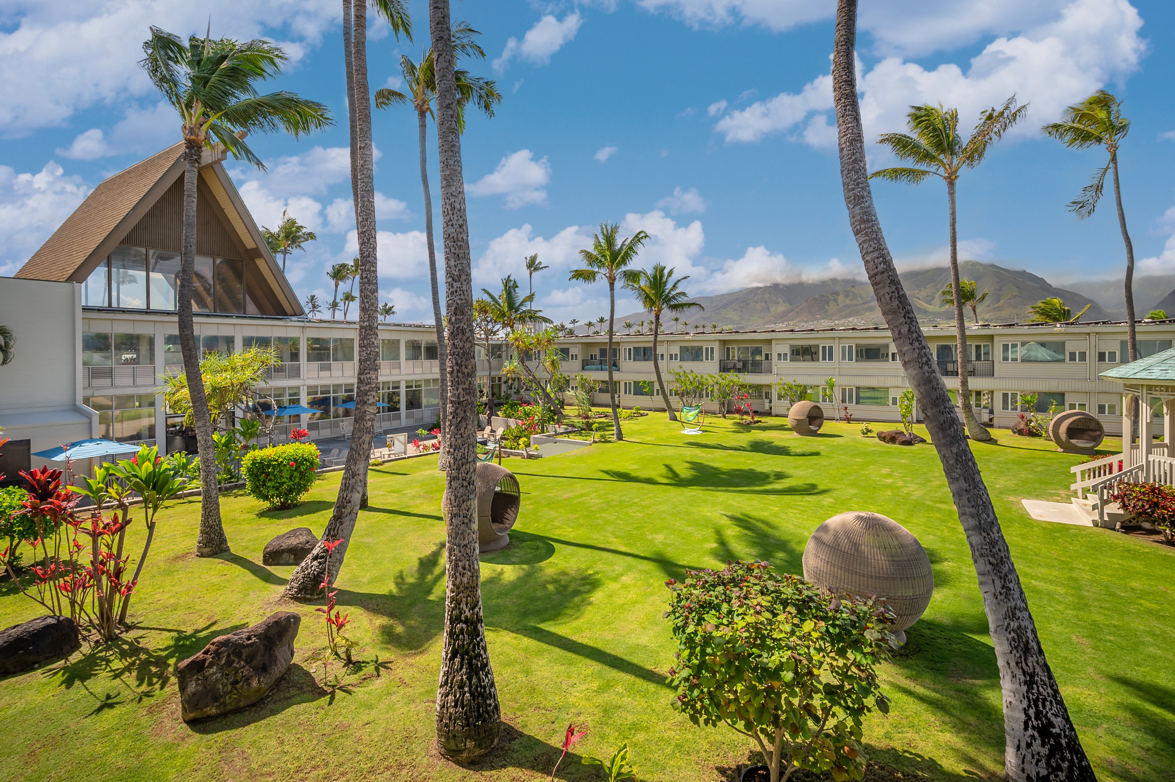 Maui Beach Hotel by null