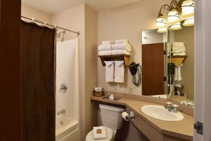 Stoney Creek Hotel Quad Cities - Moline by null