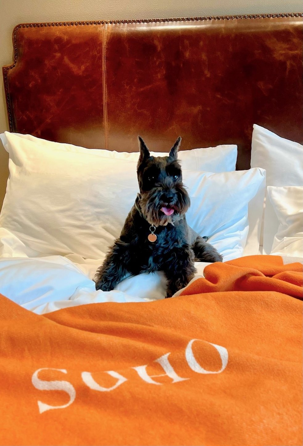 Soho Grand Hotel by null