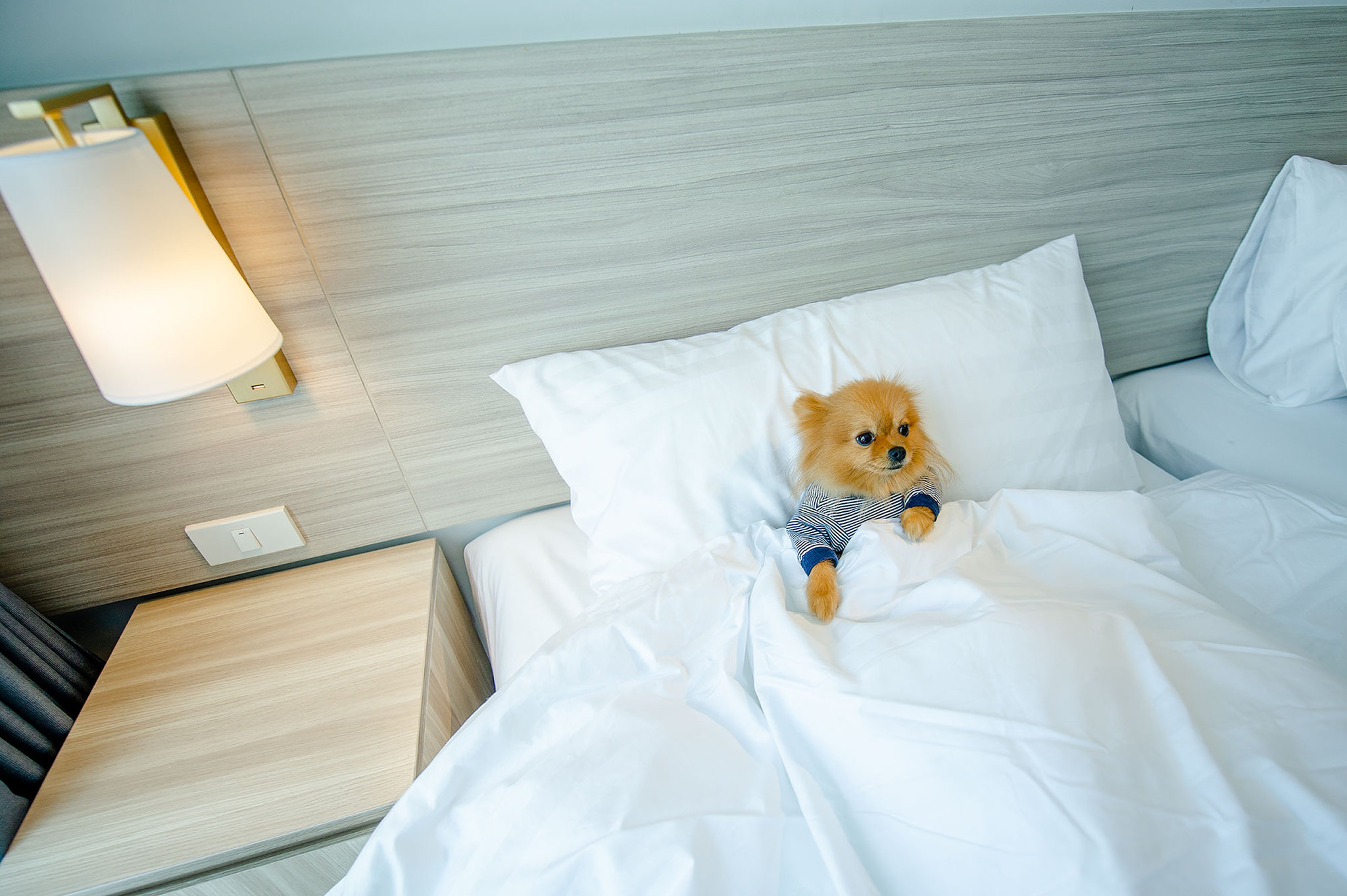 Oakwood Hotel & Residence Bangkok by null