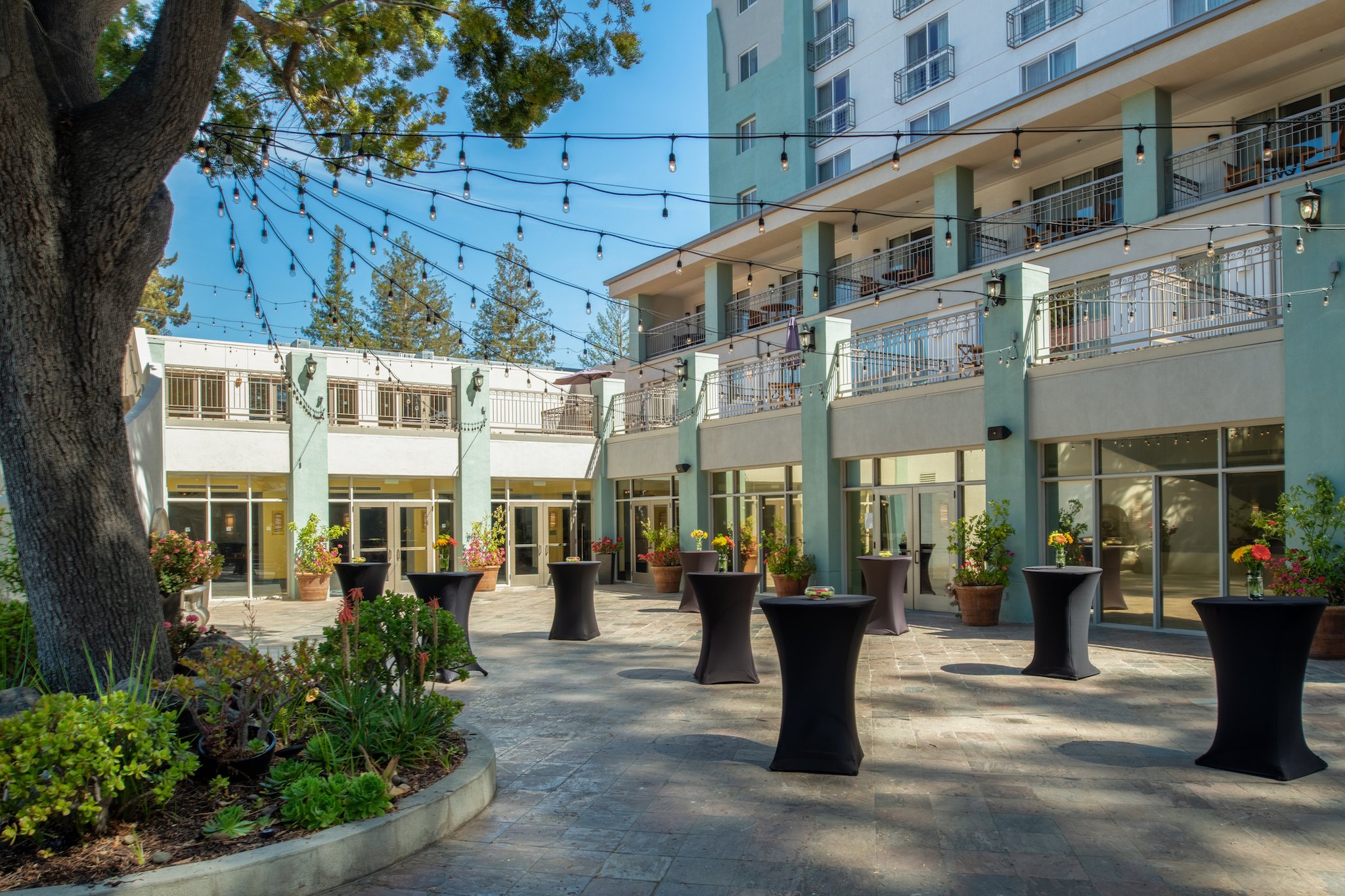 Crowne Plaza Palo Alto, an IHG Hotel image