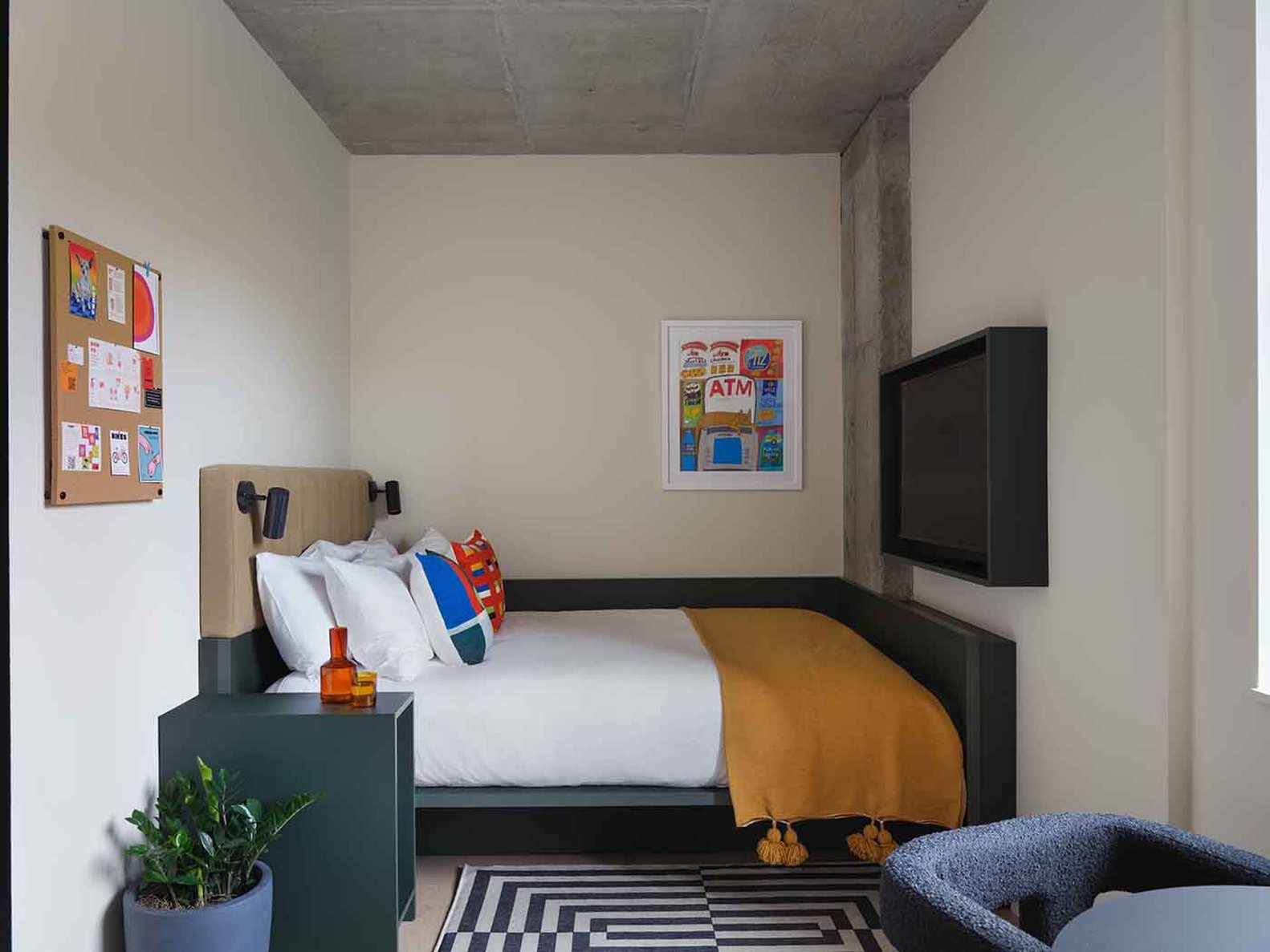 The Penny Williamsburg by null