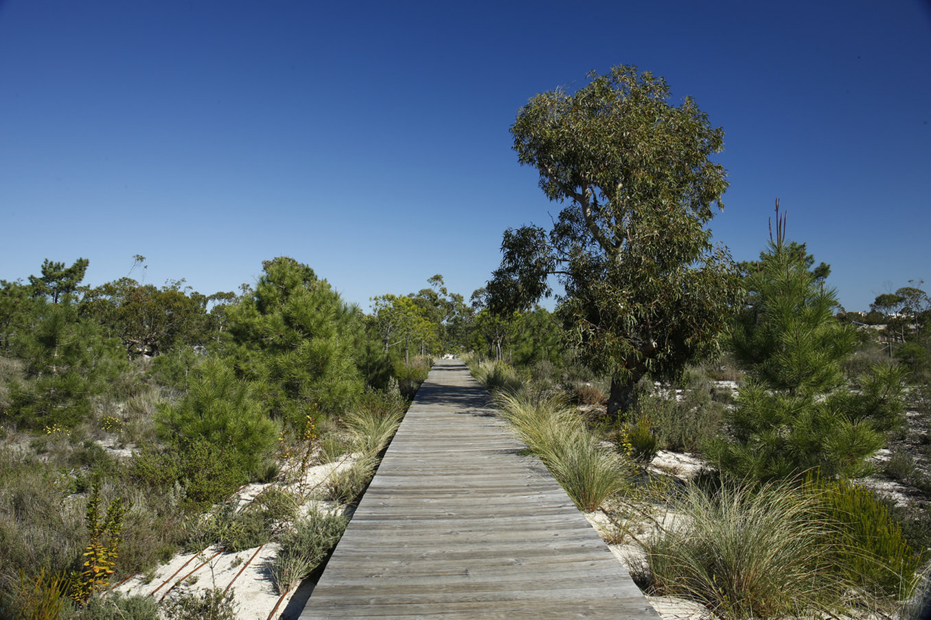 Pestana Troia Eco-Resort by null