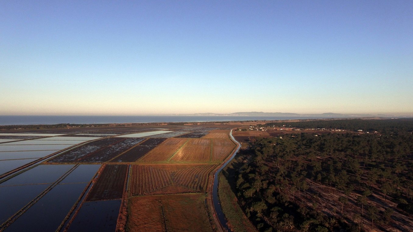 Pestana Troia Eco-Resort by null