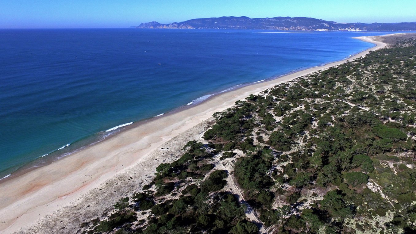 Pestana Troia Eco-Resort by null