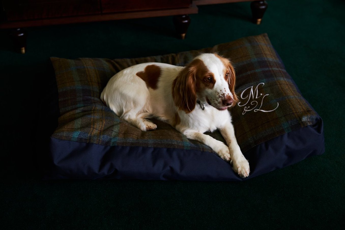 Dornoch Station by null