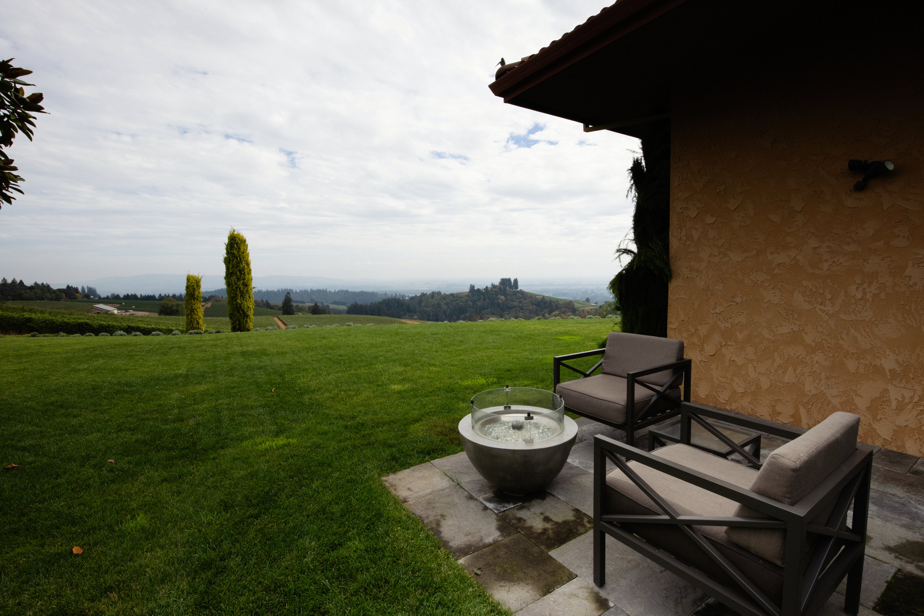 Black Walnut Inn & Vineyard by null