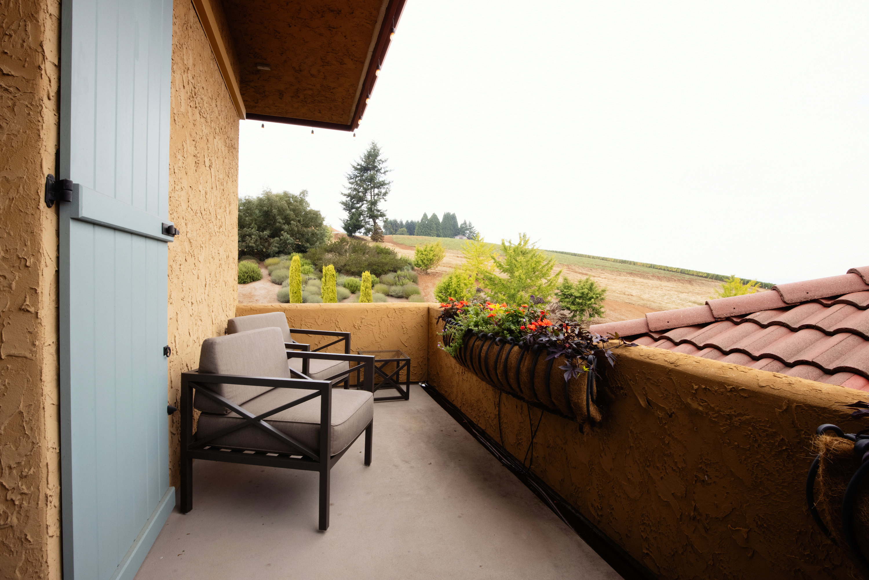 Black Walnut Inn & Vineyard by null