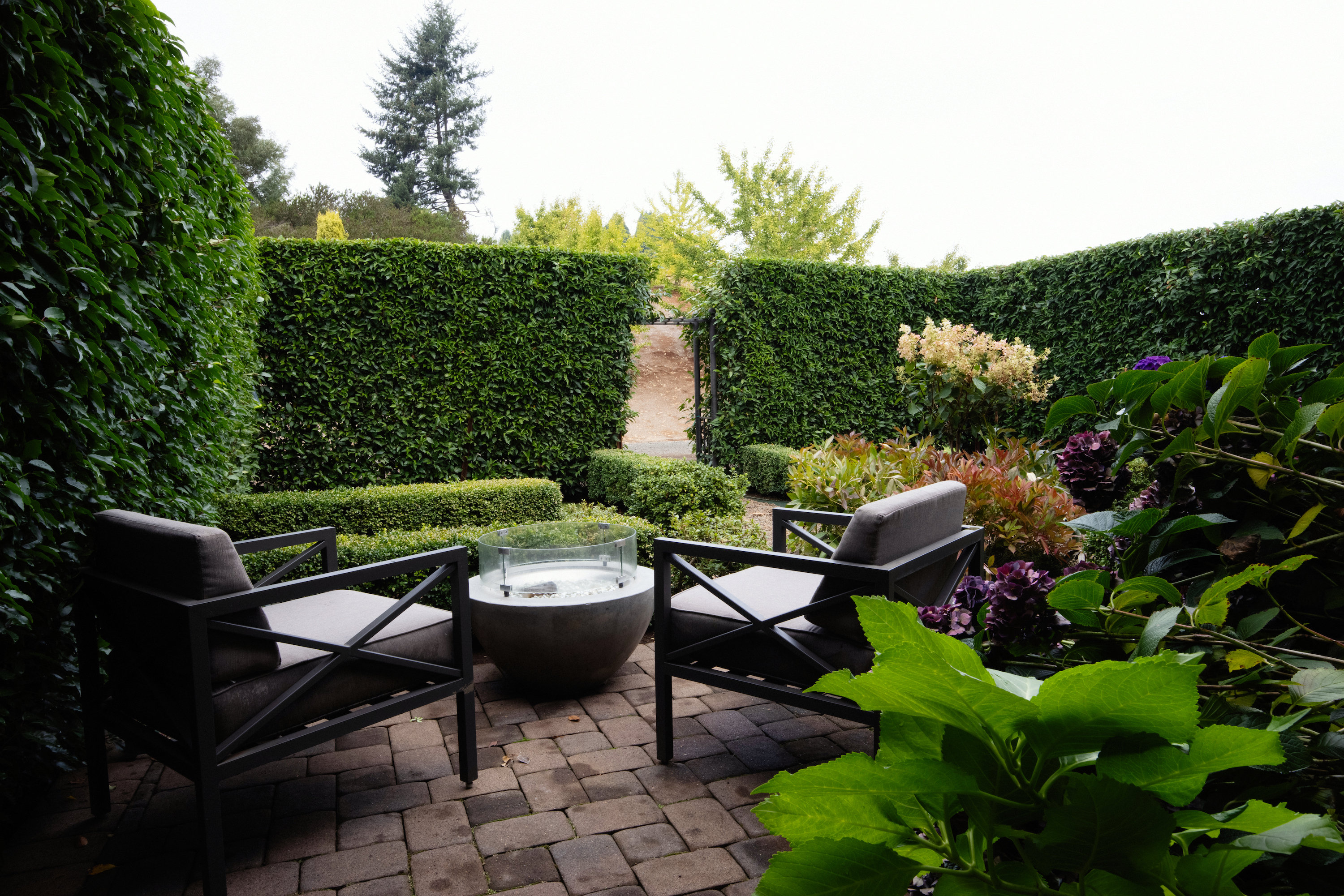 Black Walnut Inn & Vineyard by null