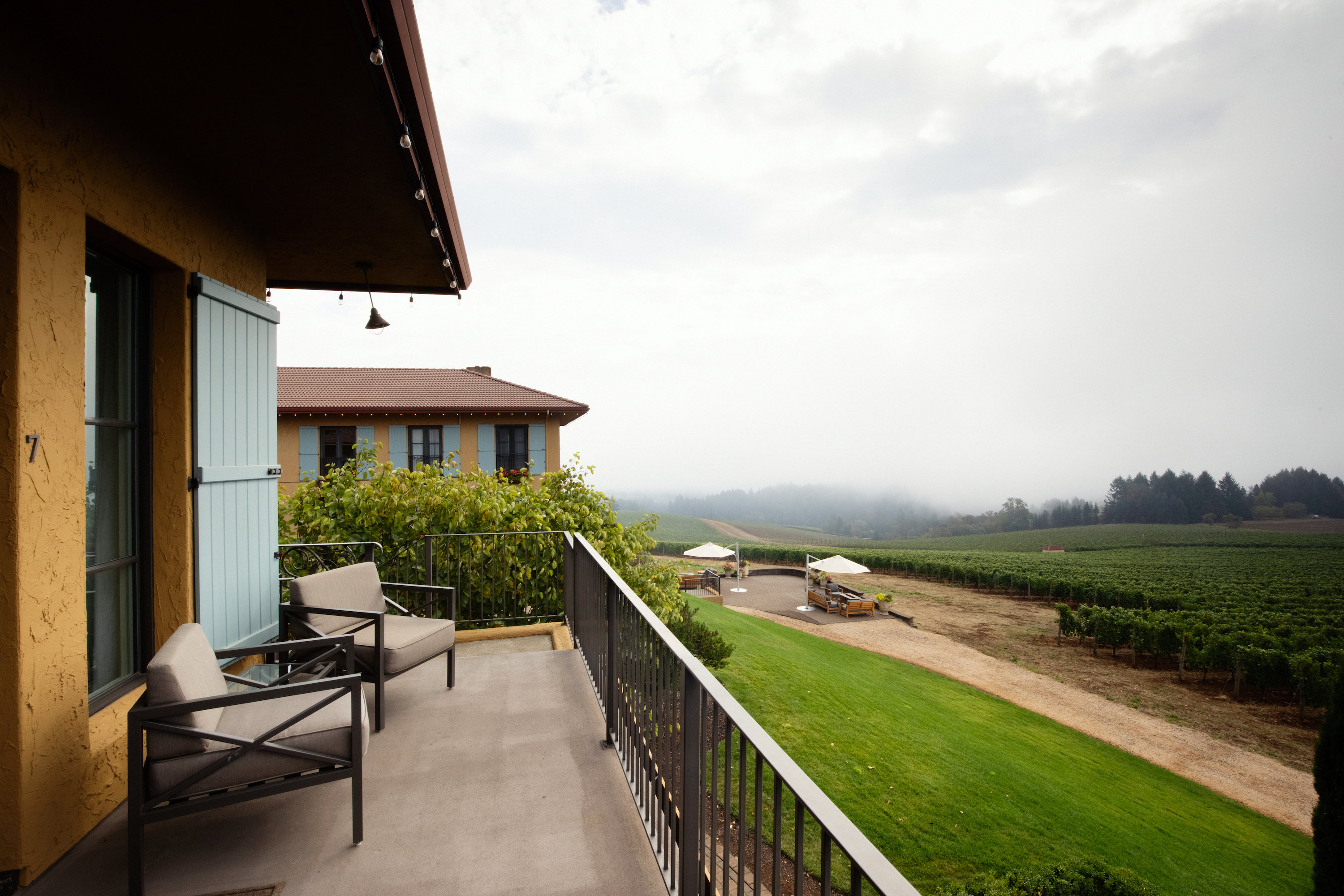 Black Walnut Inn & Vineyard by null
