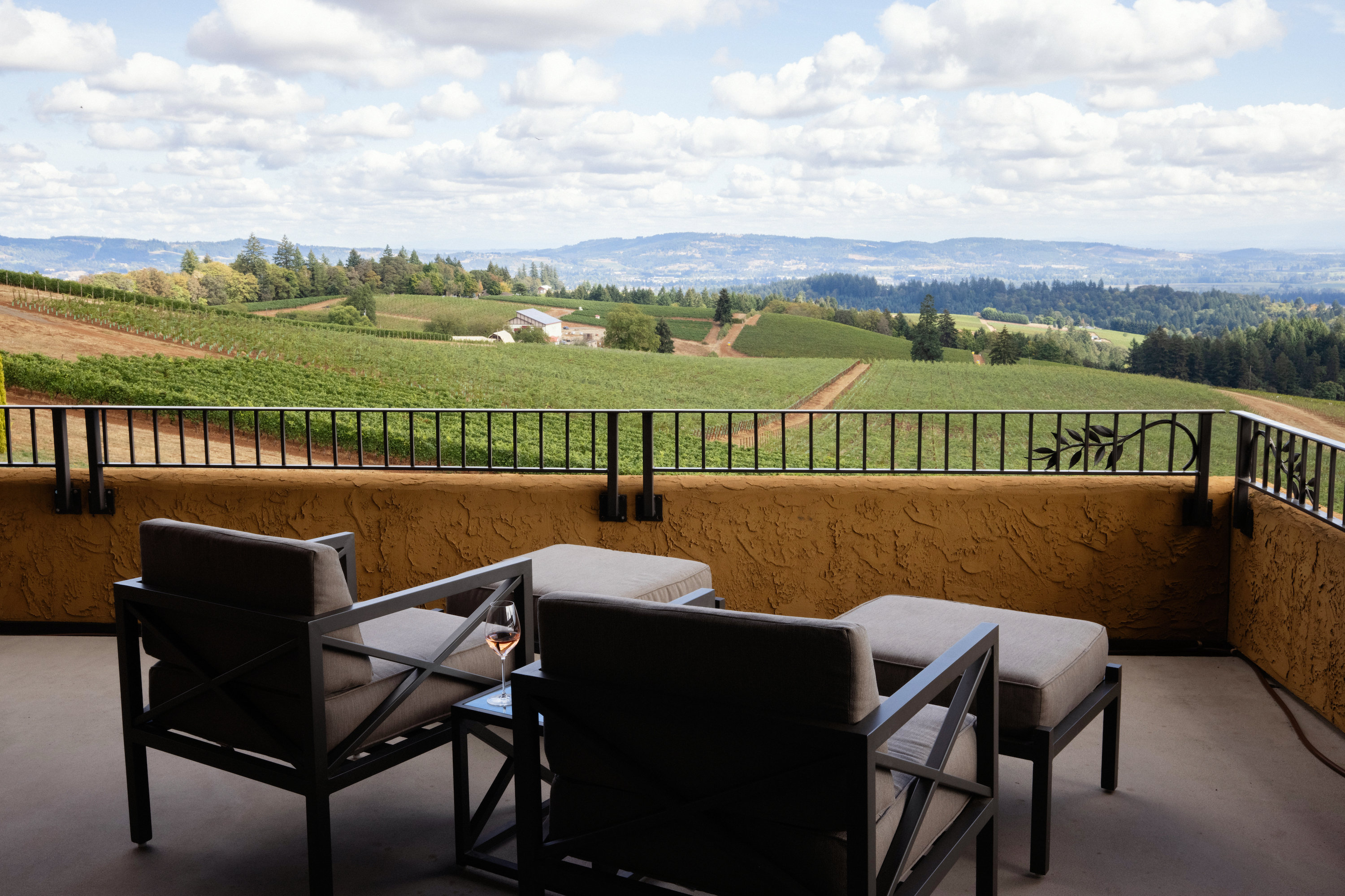 Black Walnut Inn & Vineyard by null