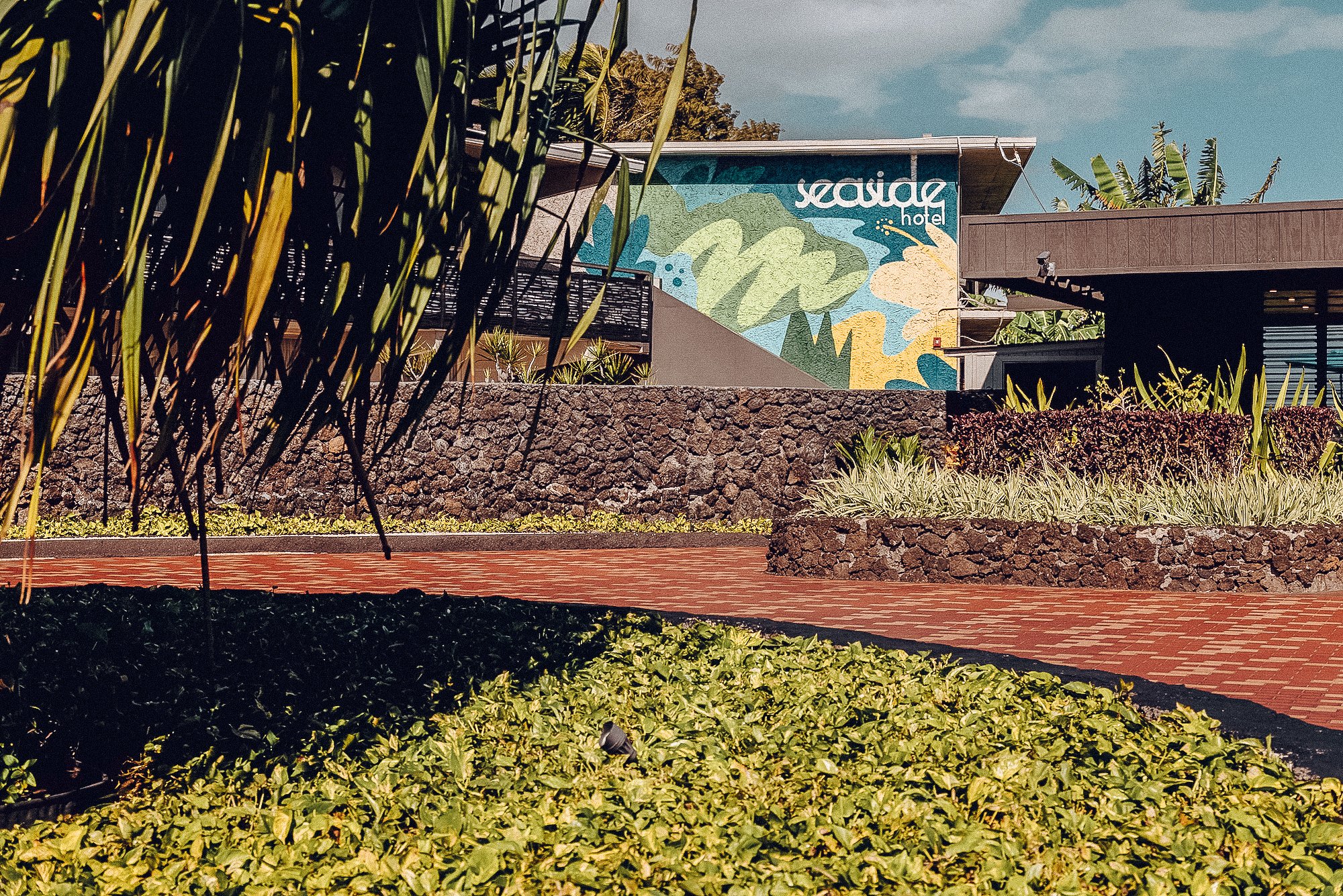 Maui Seaside Hotel by null