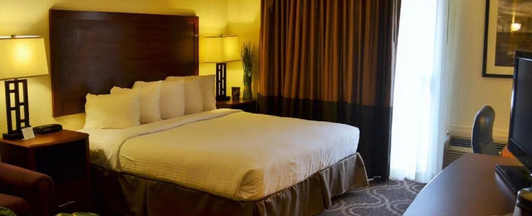 Ashmore Inn & Suites photo 3