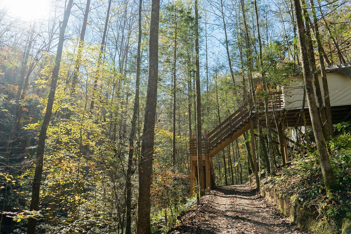 Under Canvas Great Smoky Mountains by null