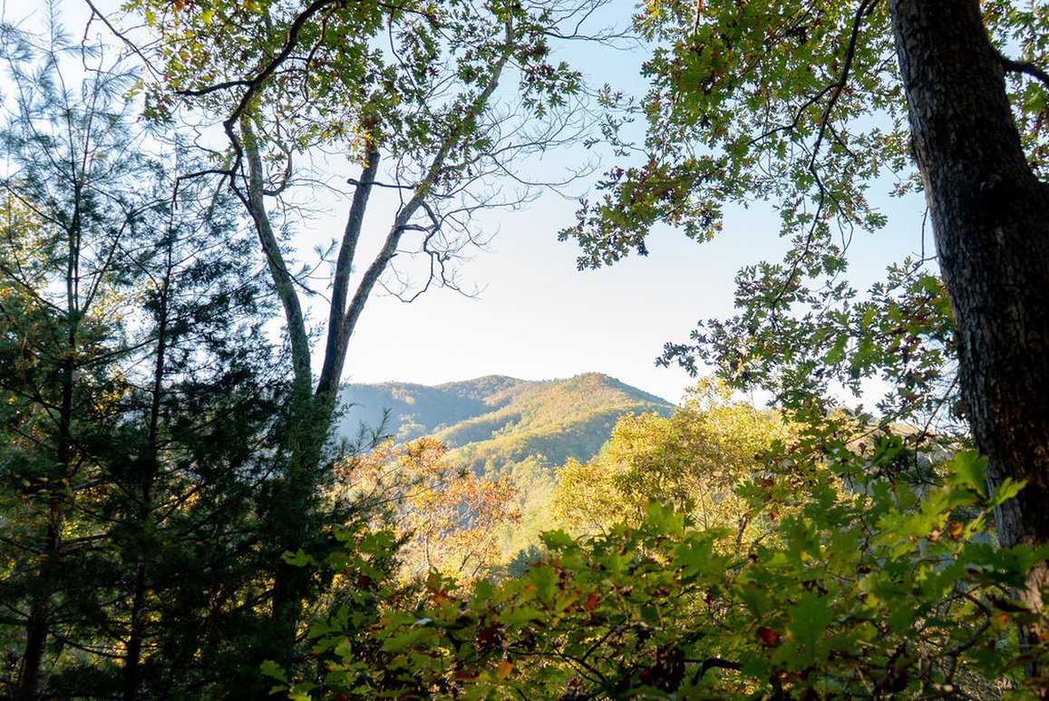 Under Canvas Great Smoky Mountains by null