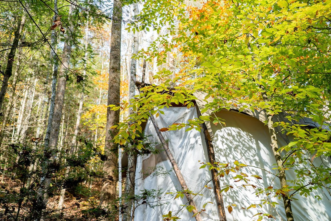 Under Canvas Great Smoky Mountains by null