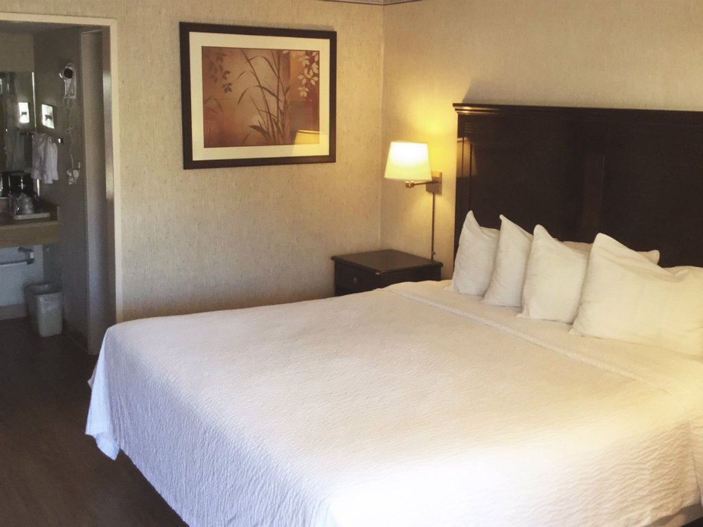 Vagabond Motor Hotel by null