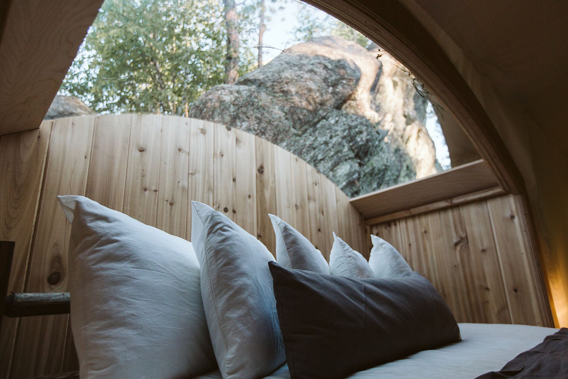 Under Canvas Mount Rushmore by null